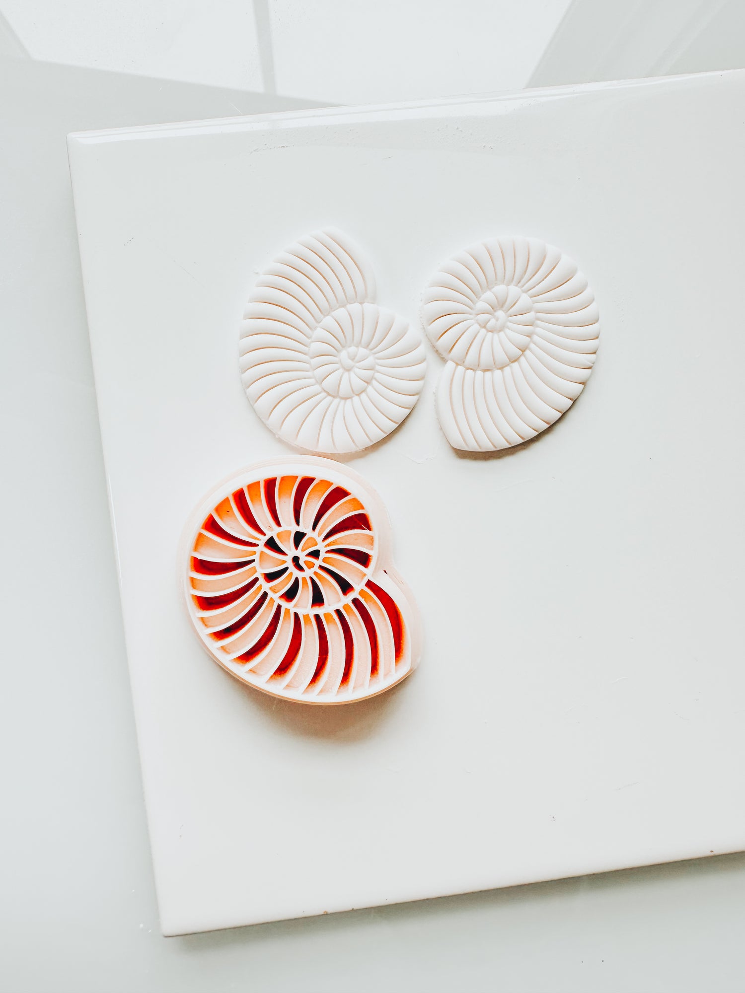 Spiral Beach Shell 1 Embossed Clay Cutter