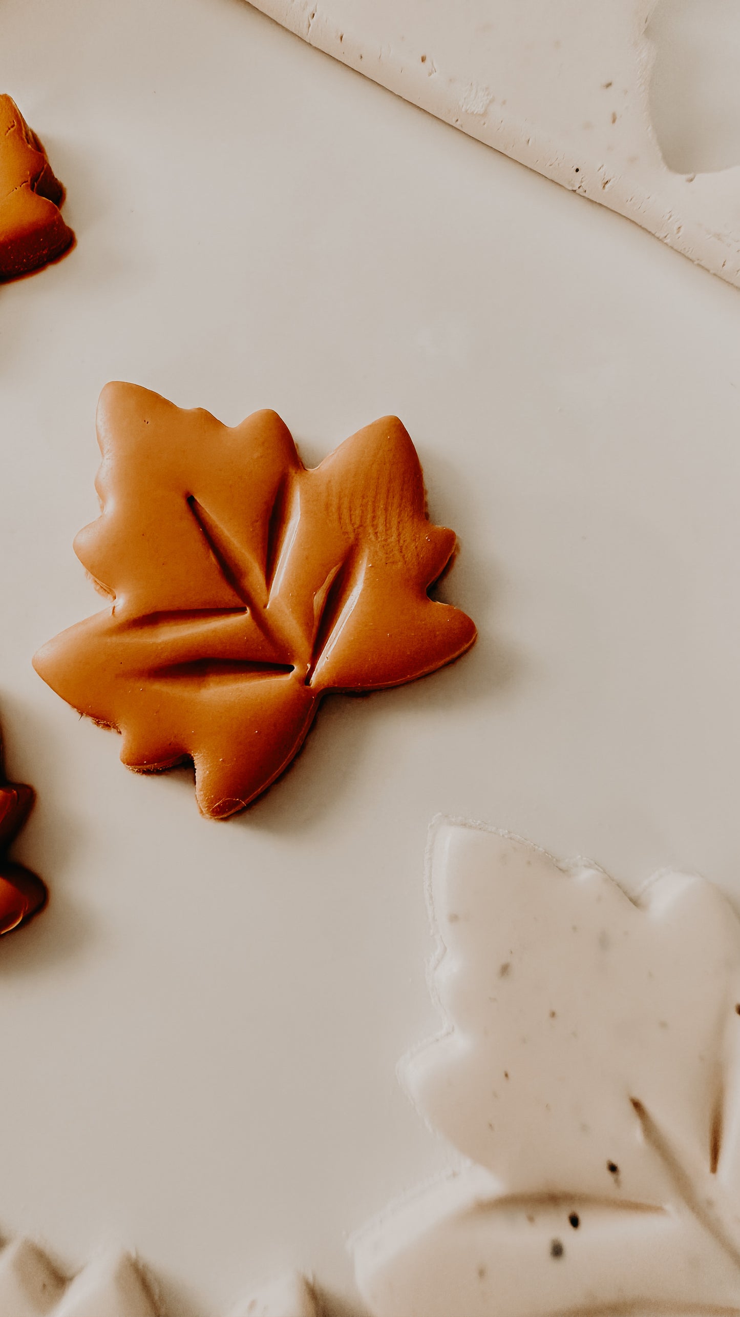 Maple Leaf Clay Cutter