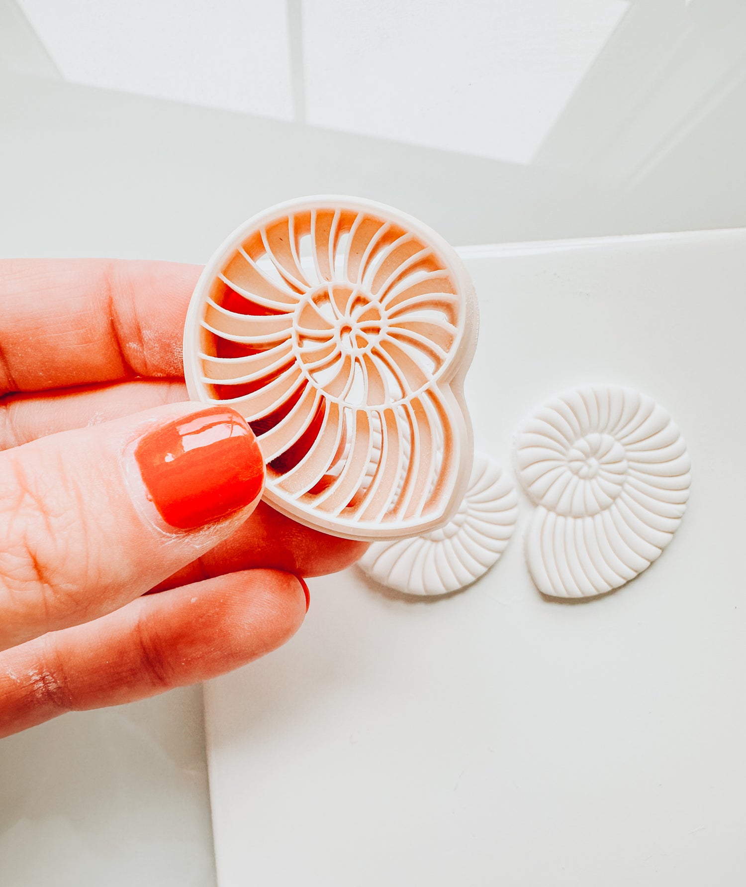 Spiral Beach Shell 1 Embossed Clay Cutter