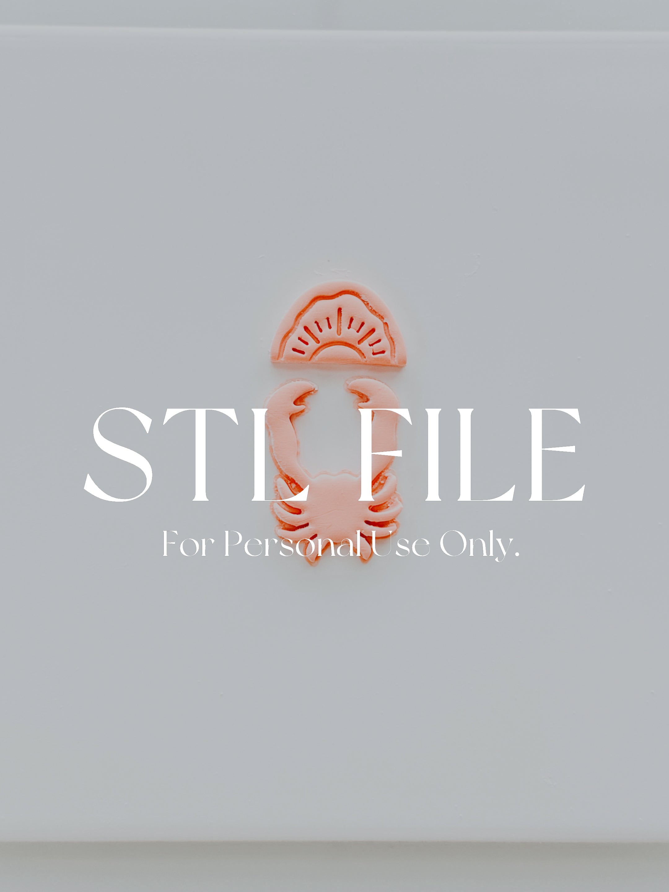STL File For 3d Printing