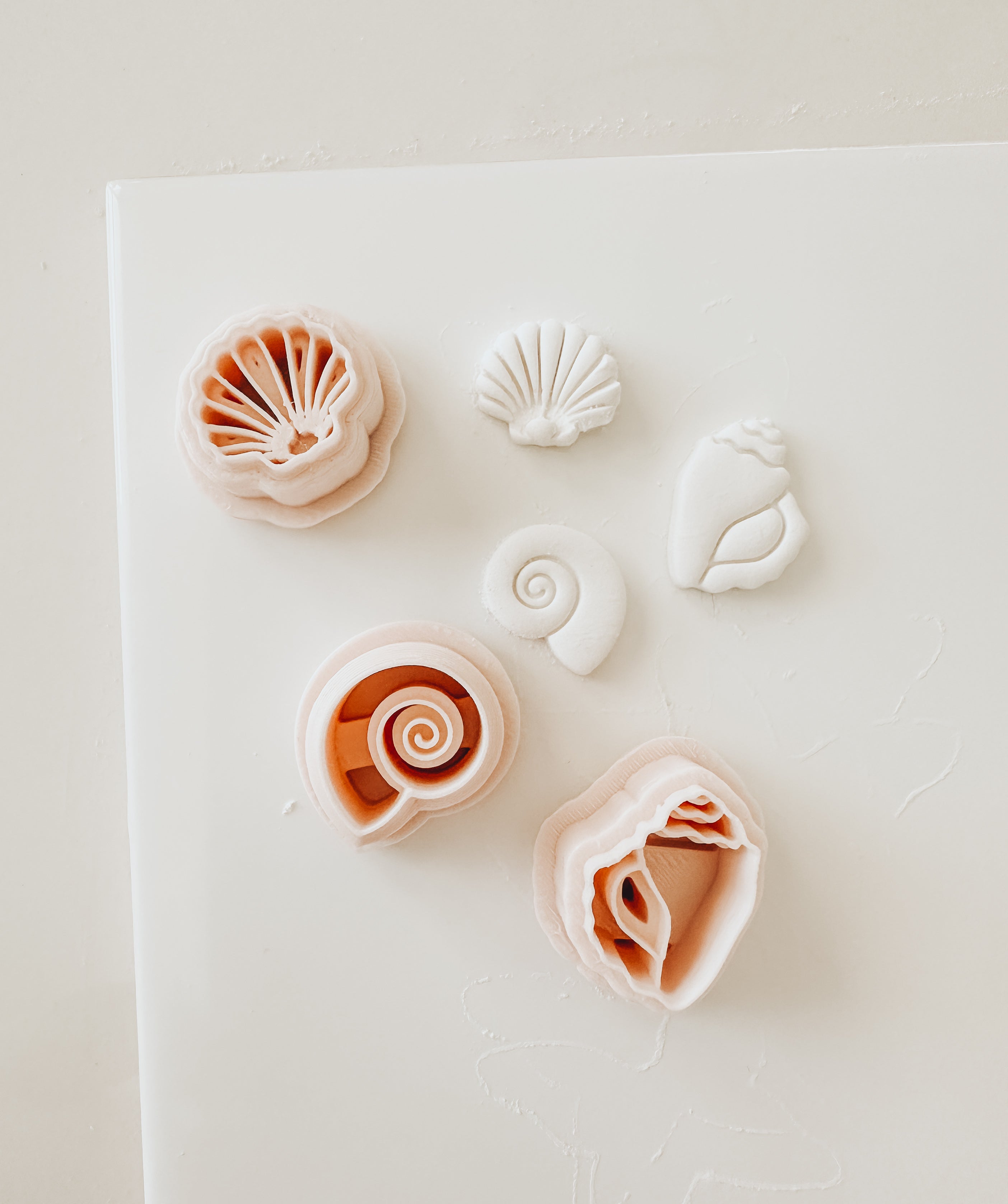 Beach Shells Clay Cutters .50”