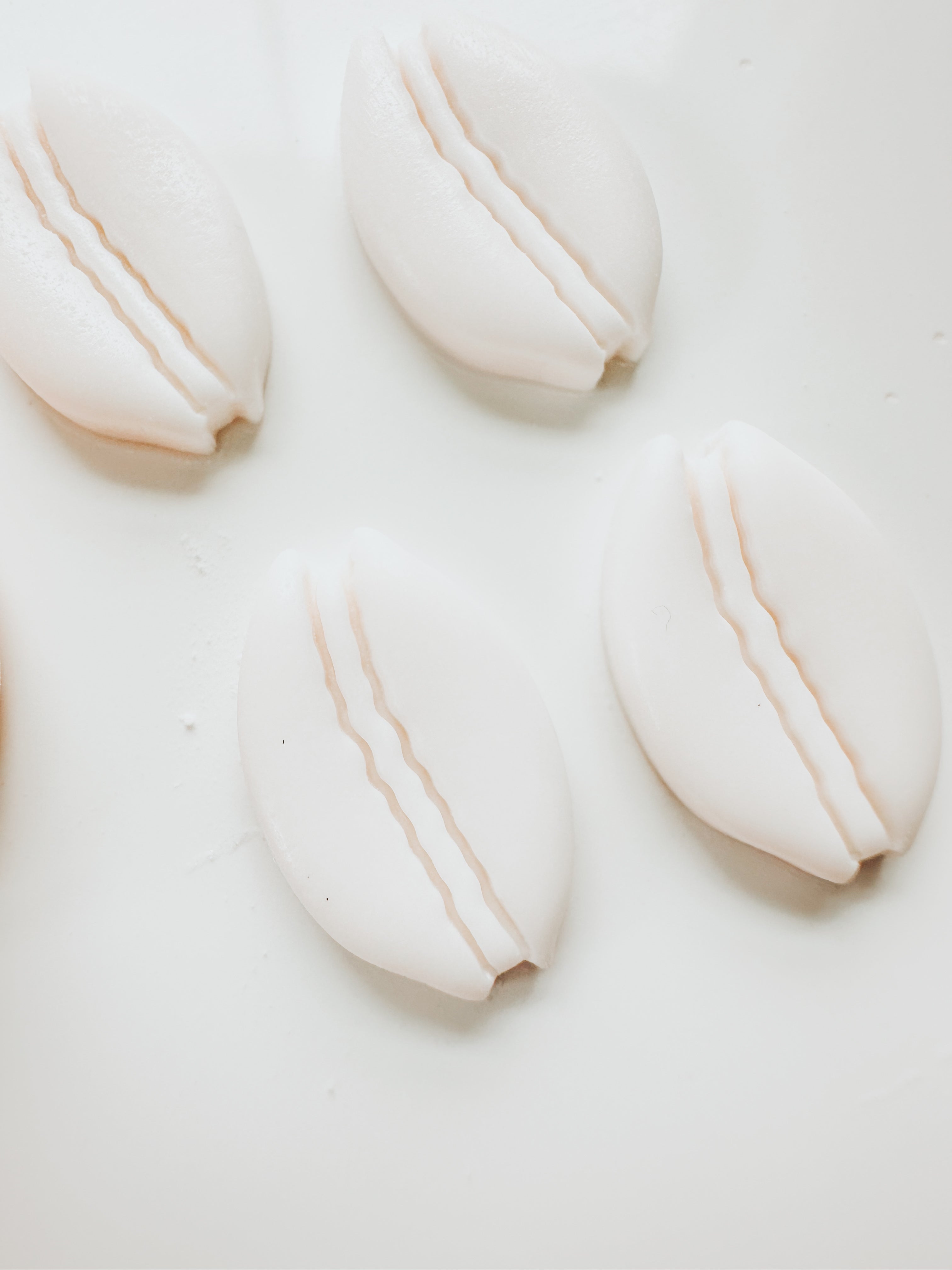 Cowrie Beach Shell Embossed Clay Cutter