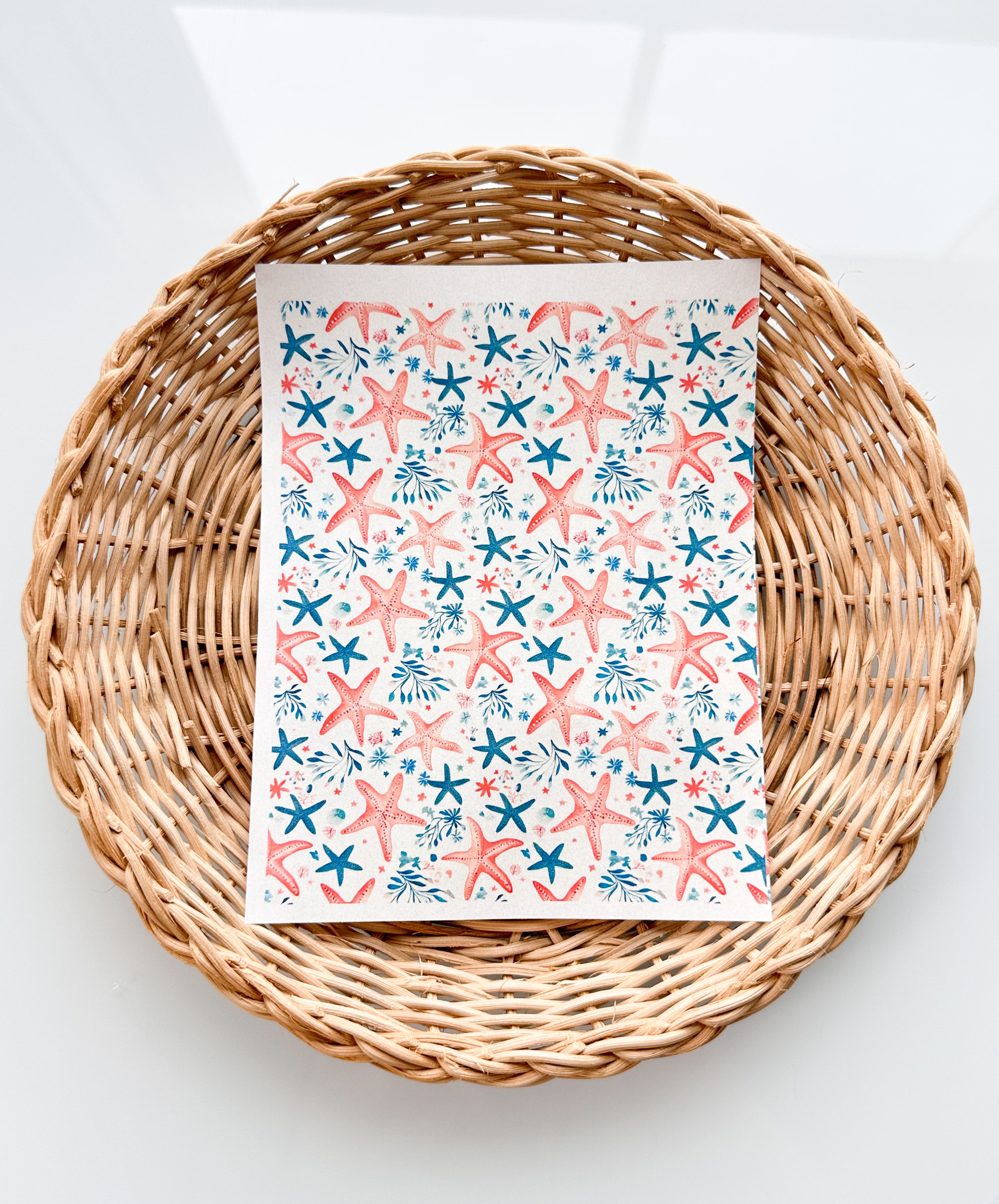 Coastal 5 Transfer Paper