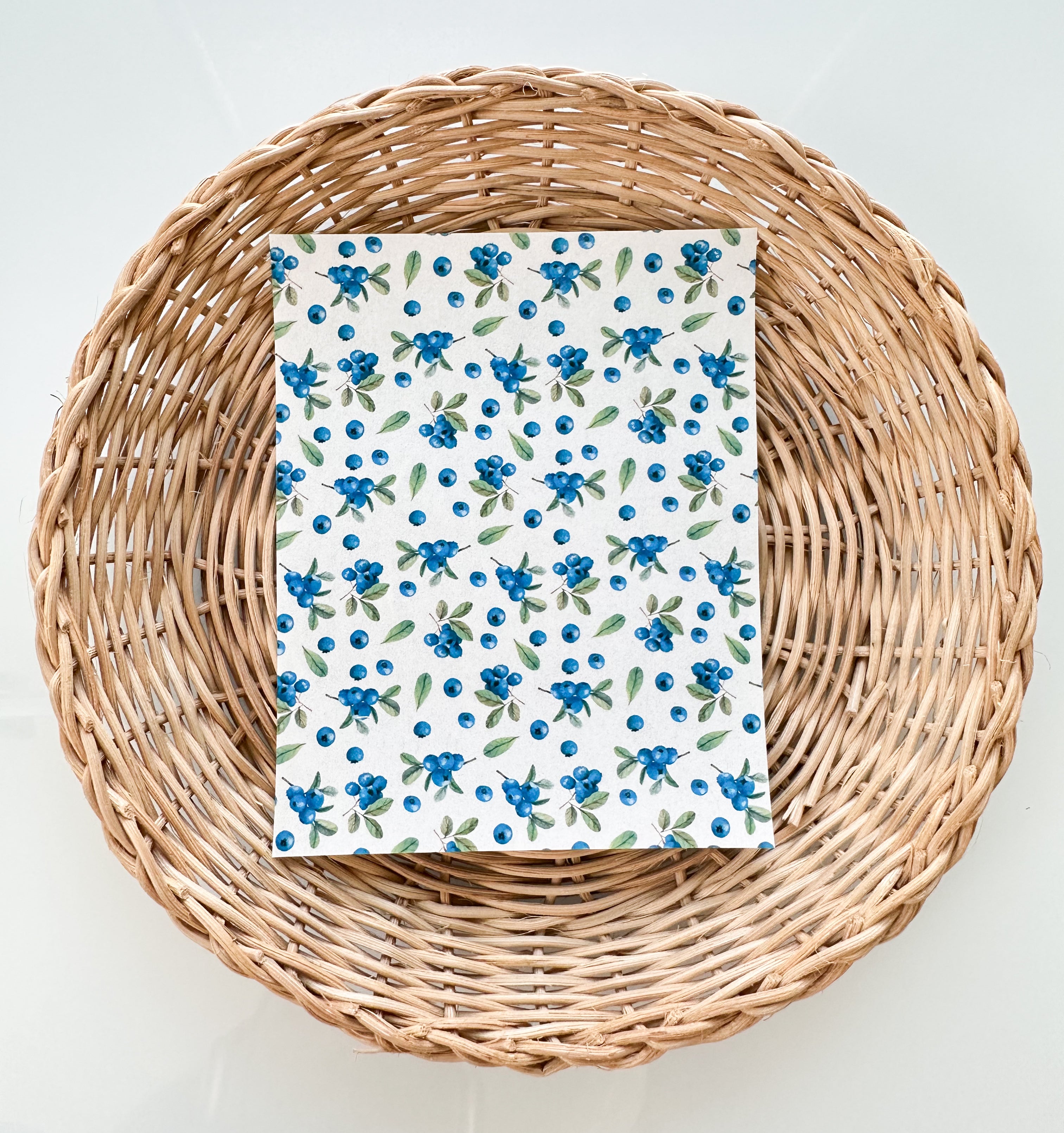 Summer 26 Summer Blueberries Transfer Paper