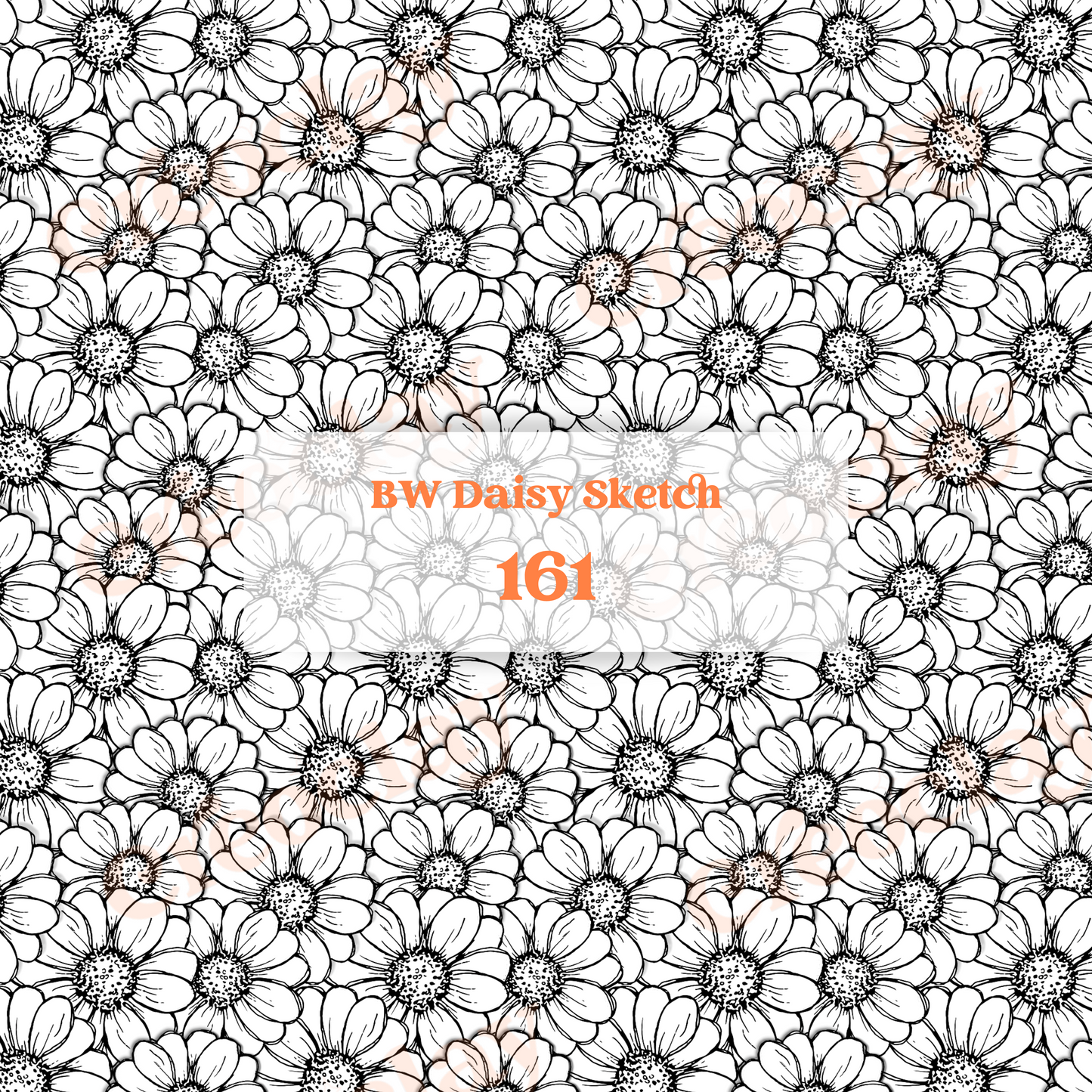 Transfer Paper 161 (BW Daisy Sketch)