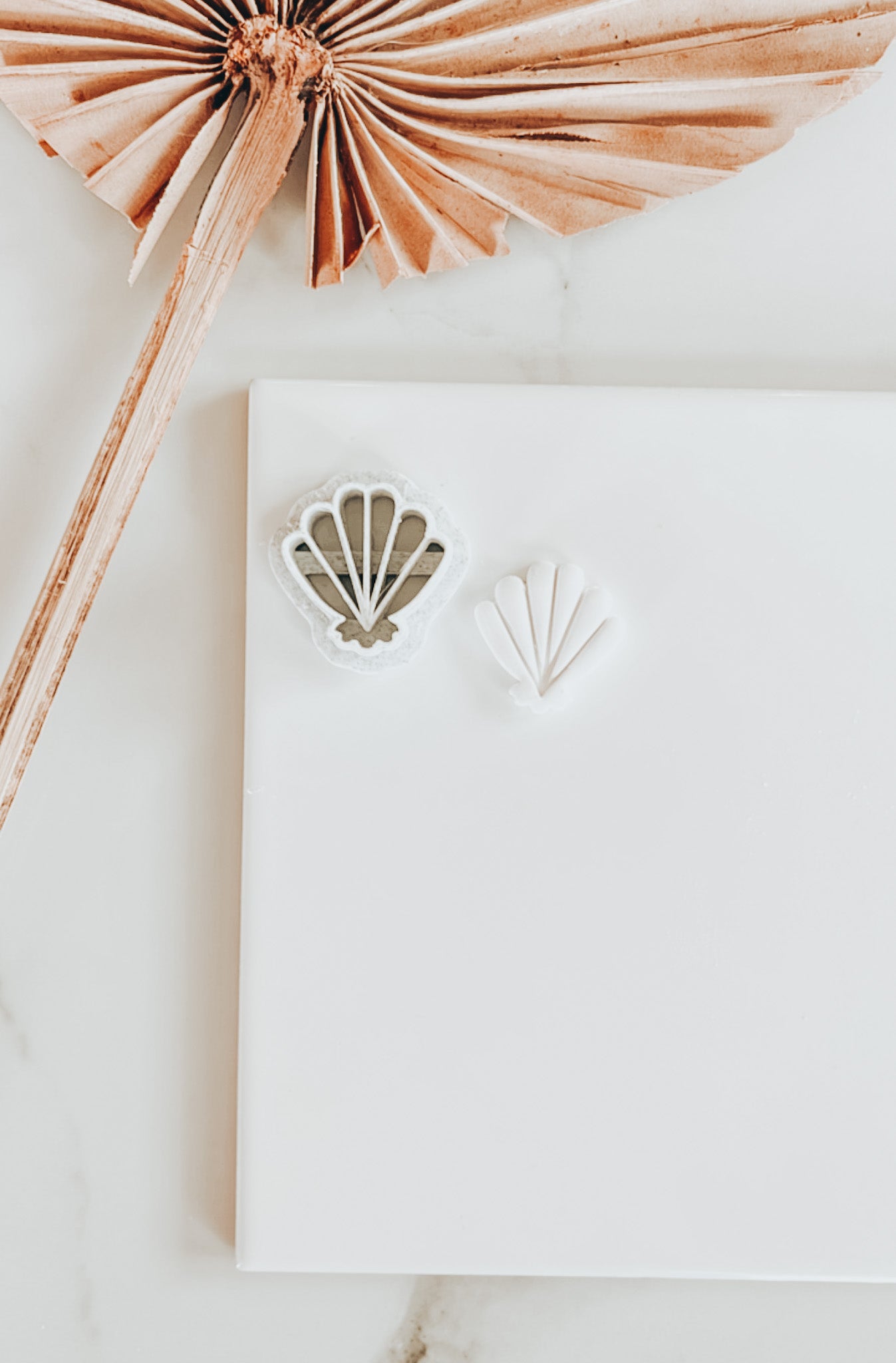 Shell Beach Clay Cutter