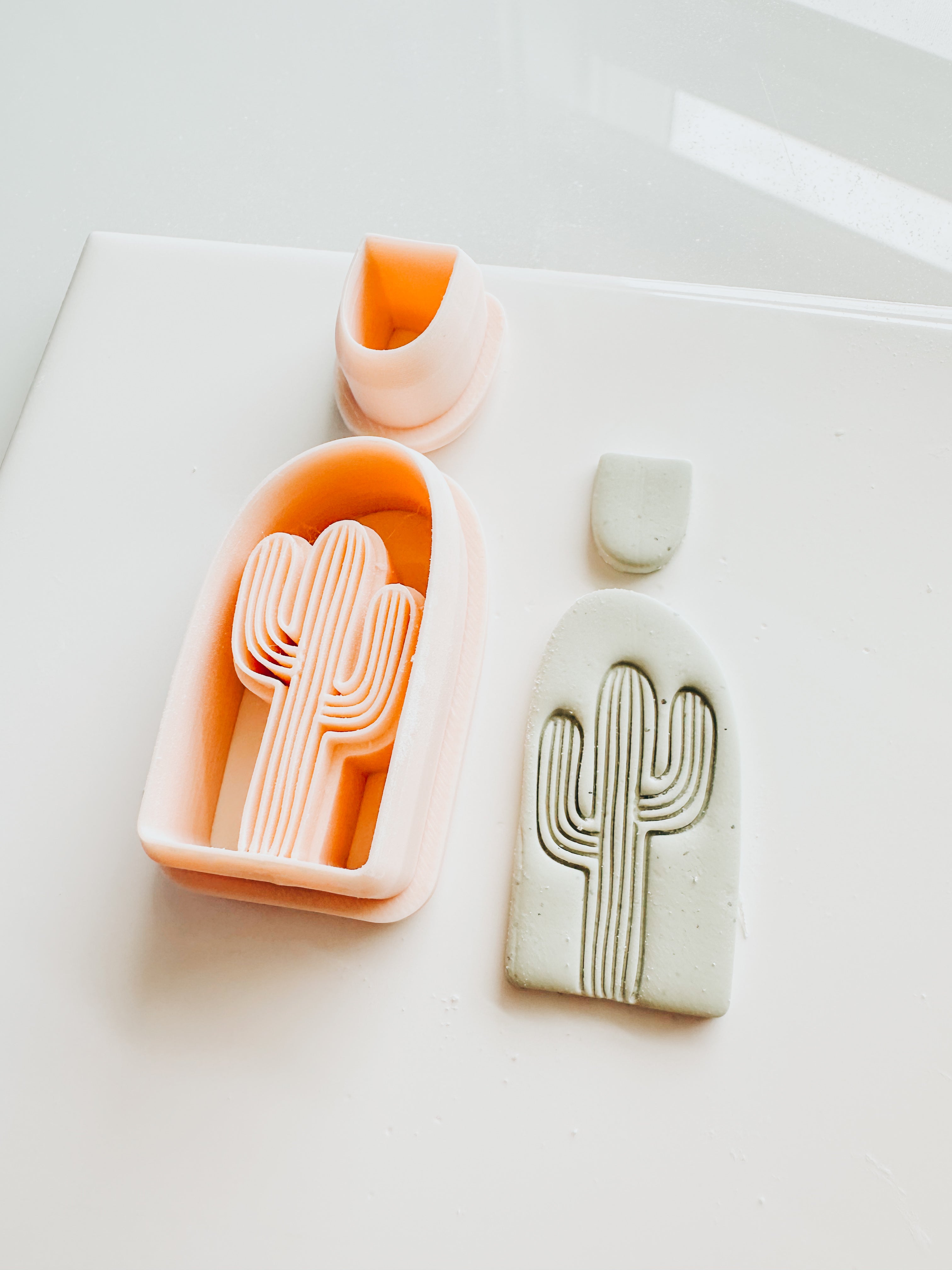 Dessert Cactus Set Clay Cutter