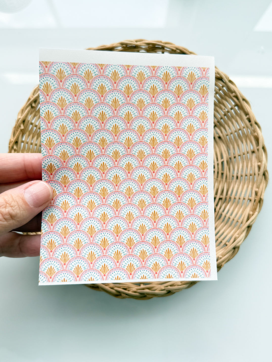 Summer Scallop 2 Transfer Paper