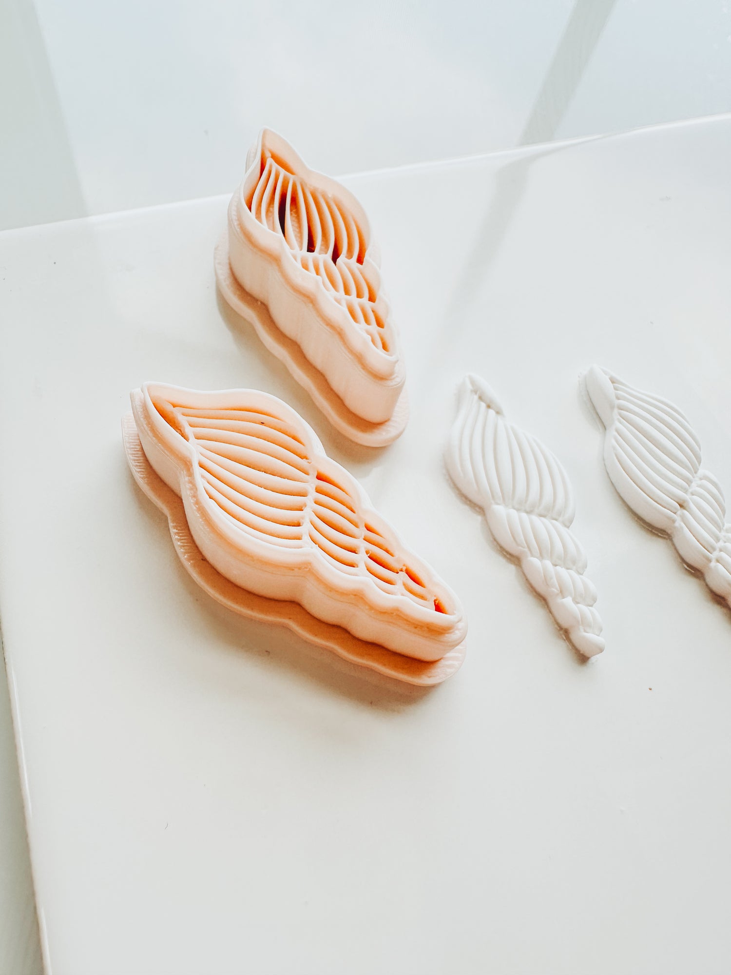 Embossed Turret Beach Shell Embossed Clay Cutter