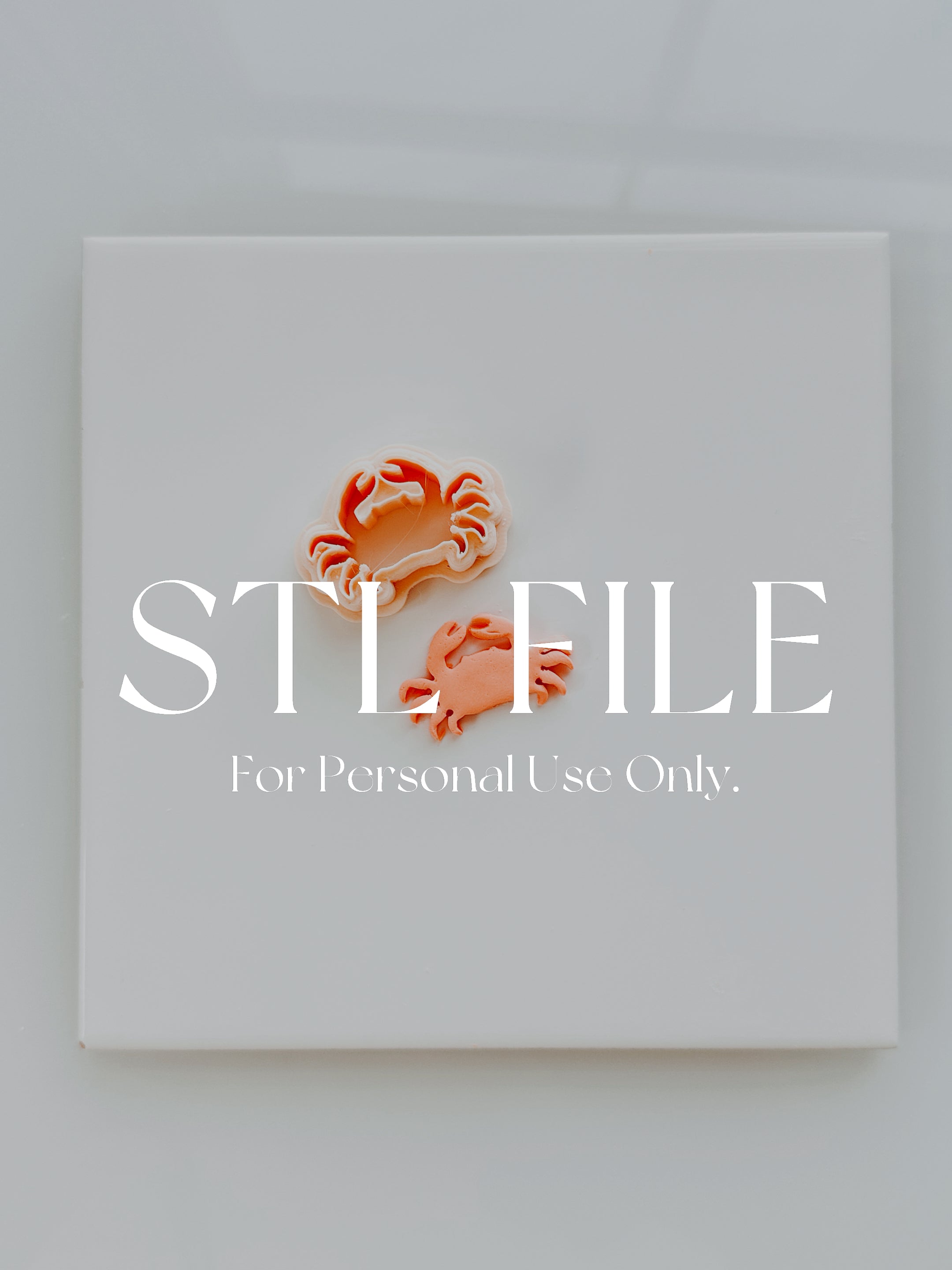 STL File For 3d Printing