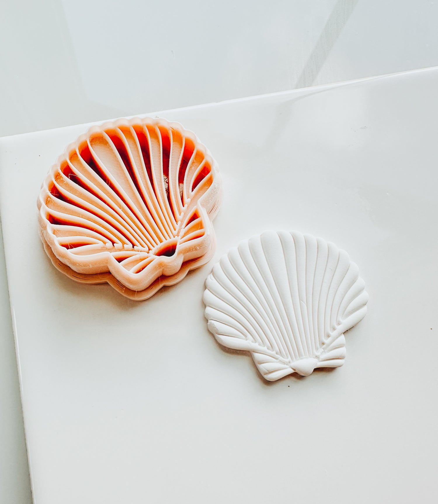 Embossed Calico Sacllop Beach Shell Embossed Clay Cutter