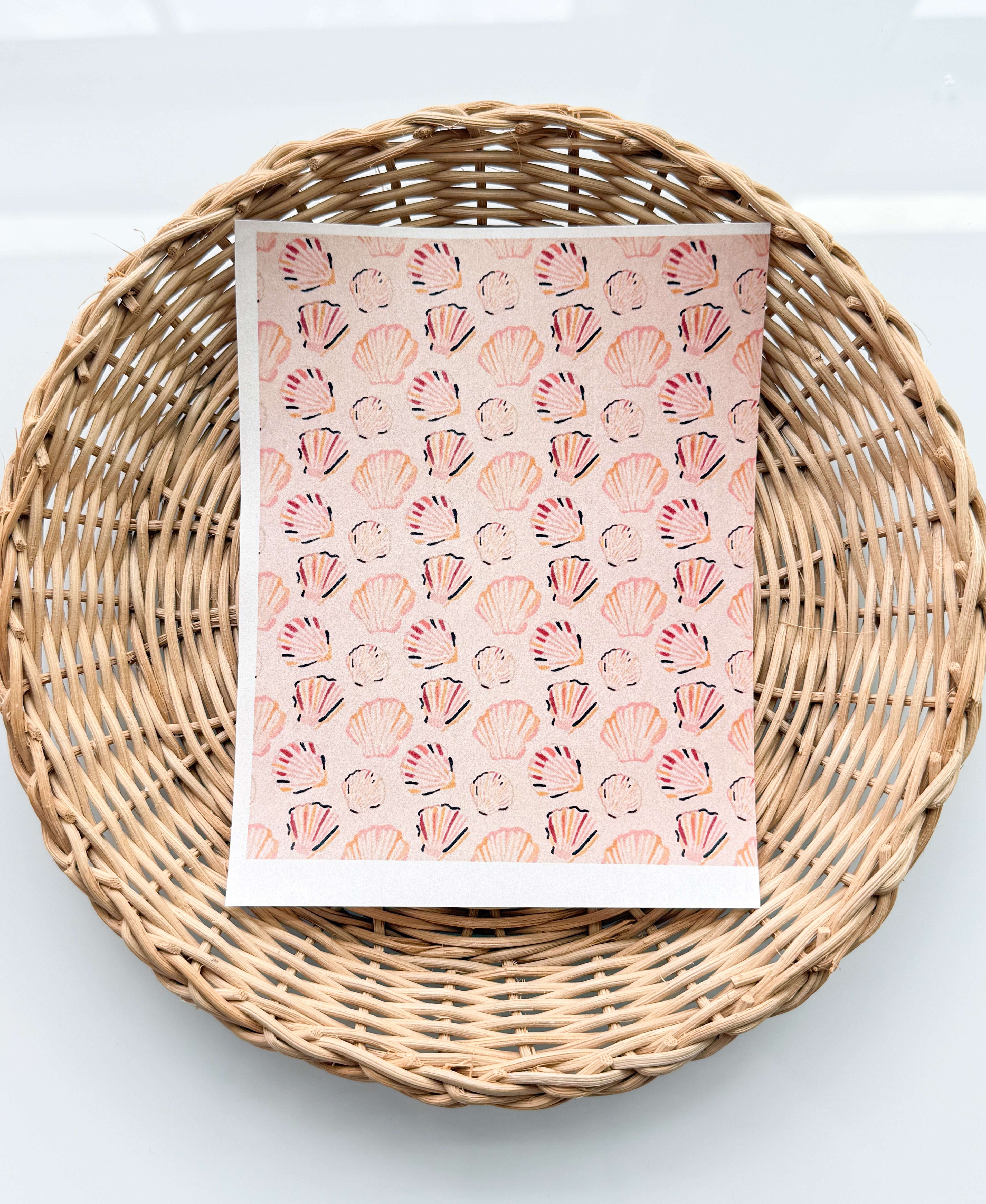 Peachy Shells Transfer Paper