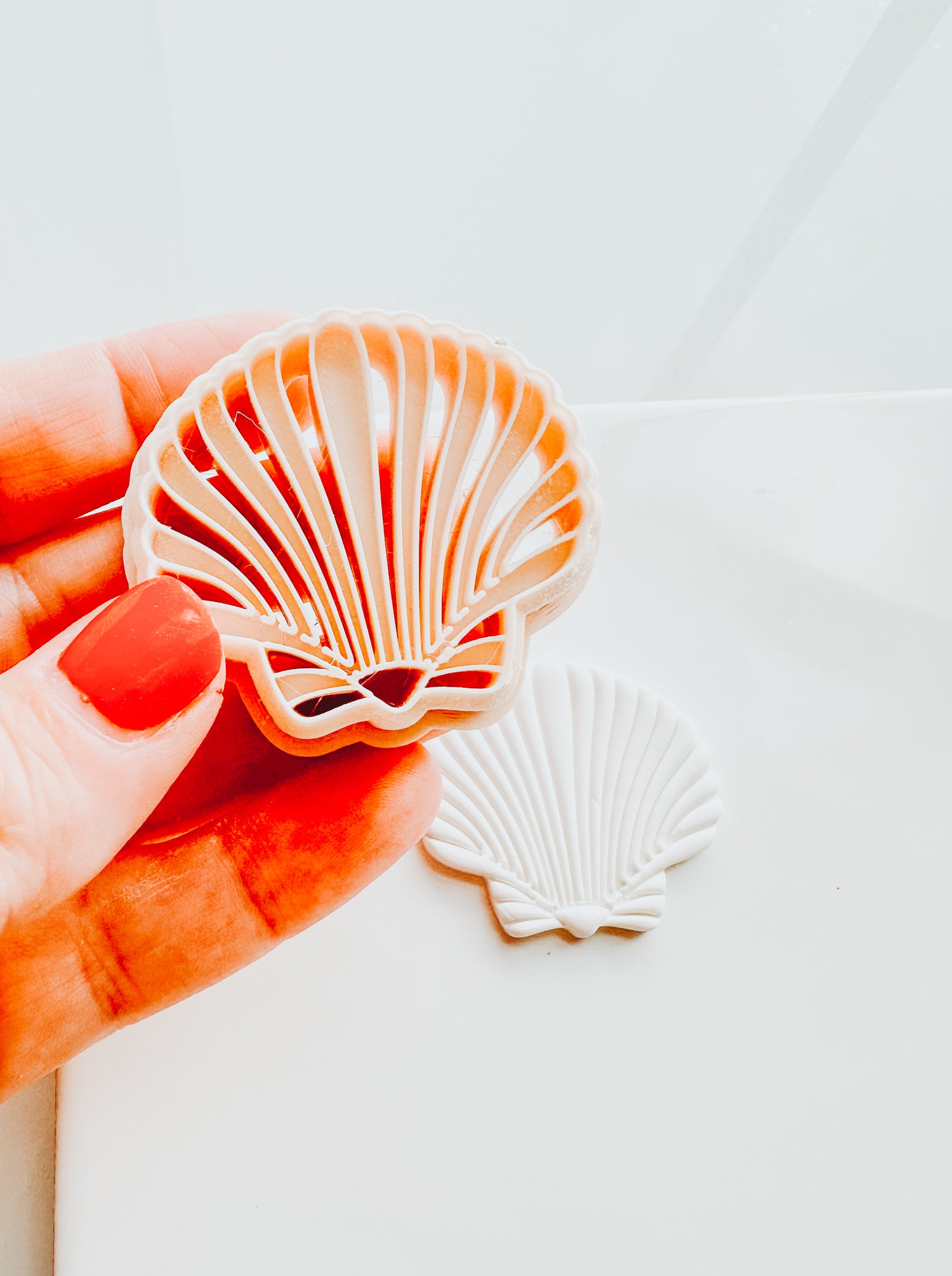 Embossed Calico Sacllop Beach Shell Embossed Clay Cutter