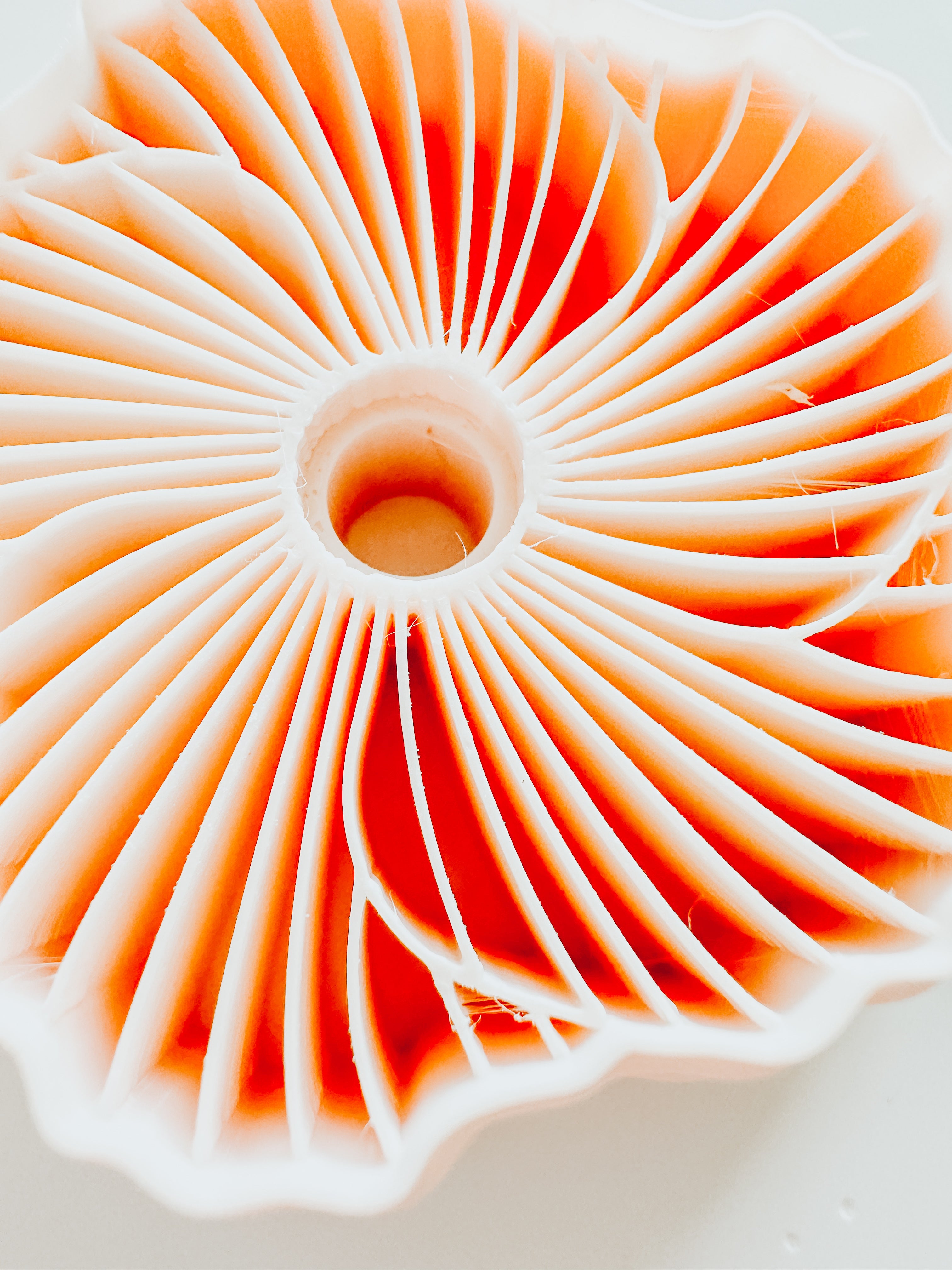Tropical Hibiscus Flower Clay Cutter