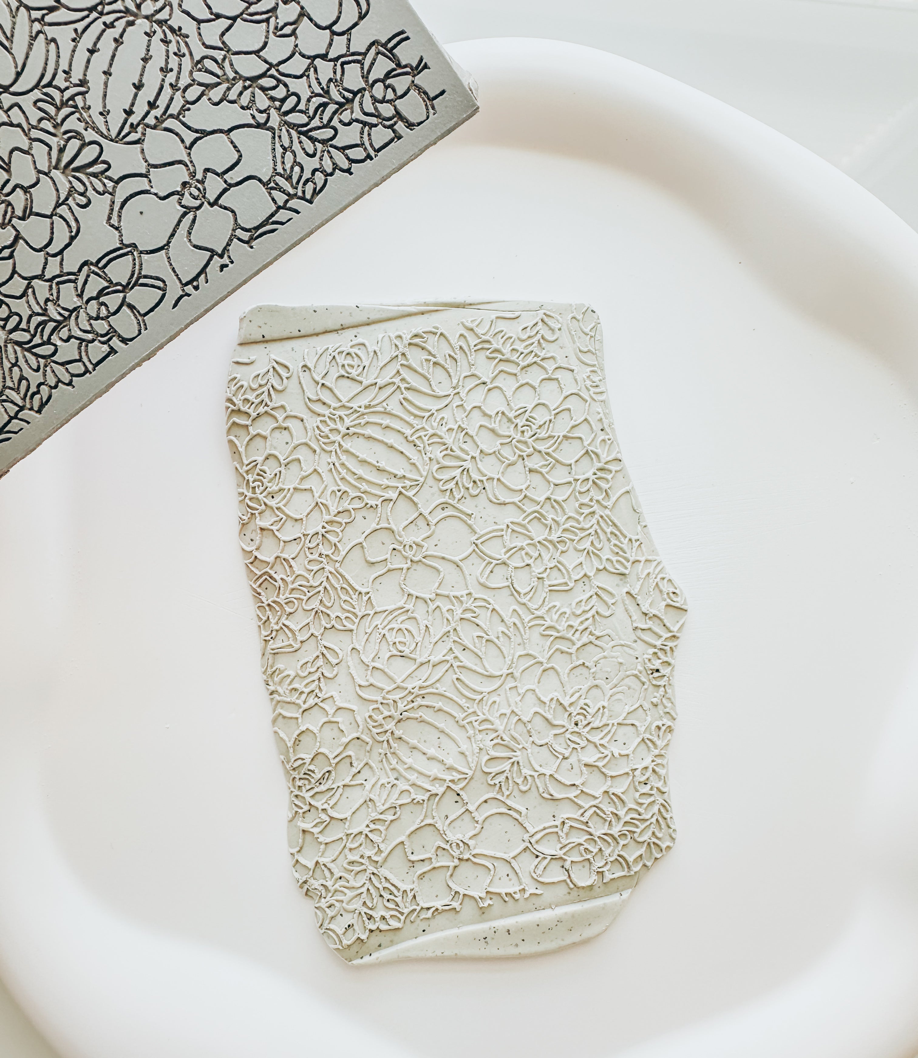 Succulent Texture Mat