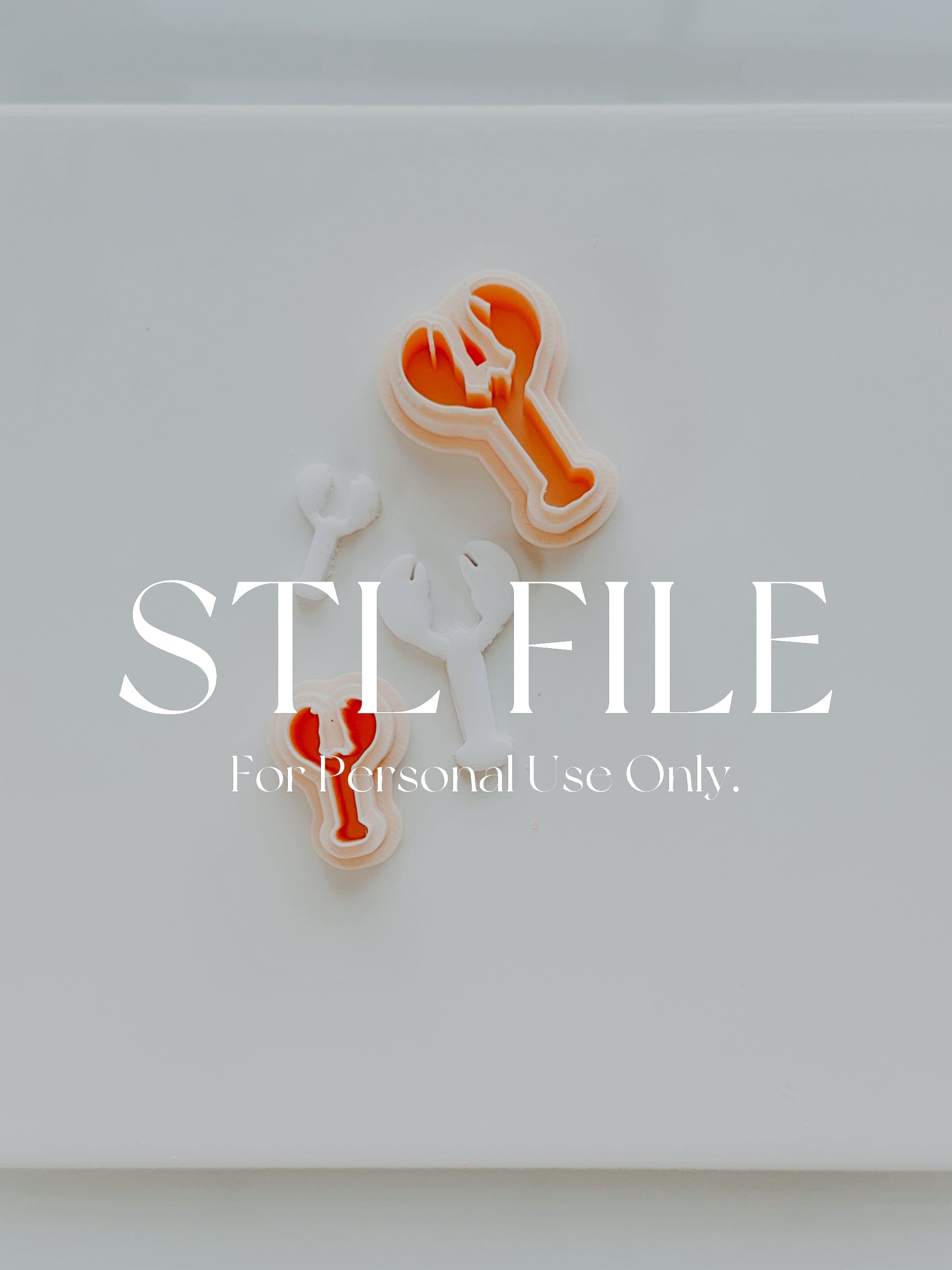 STL File For 3d Printing