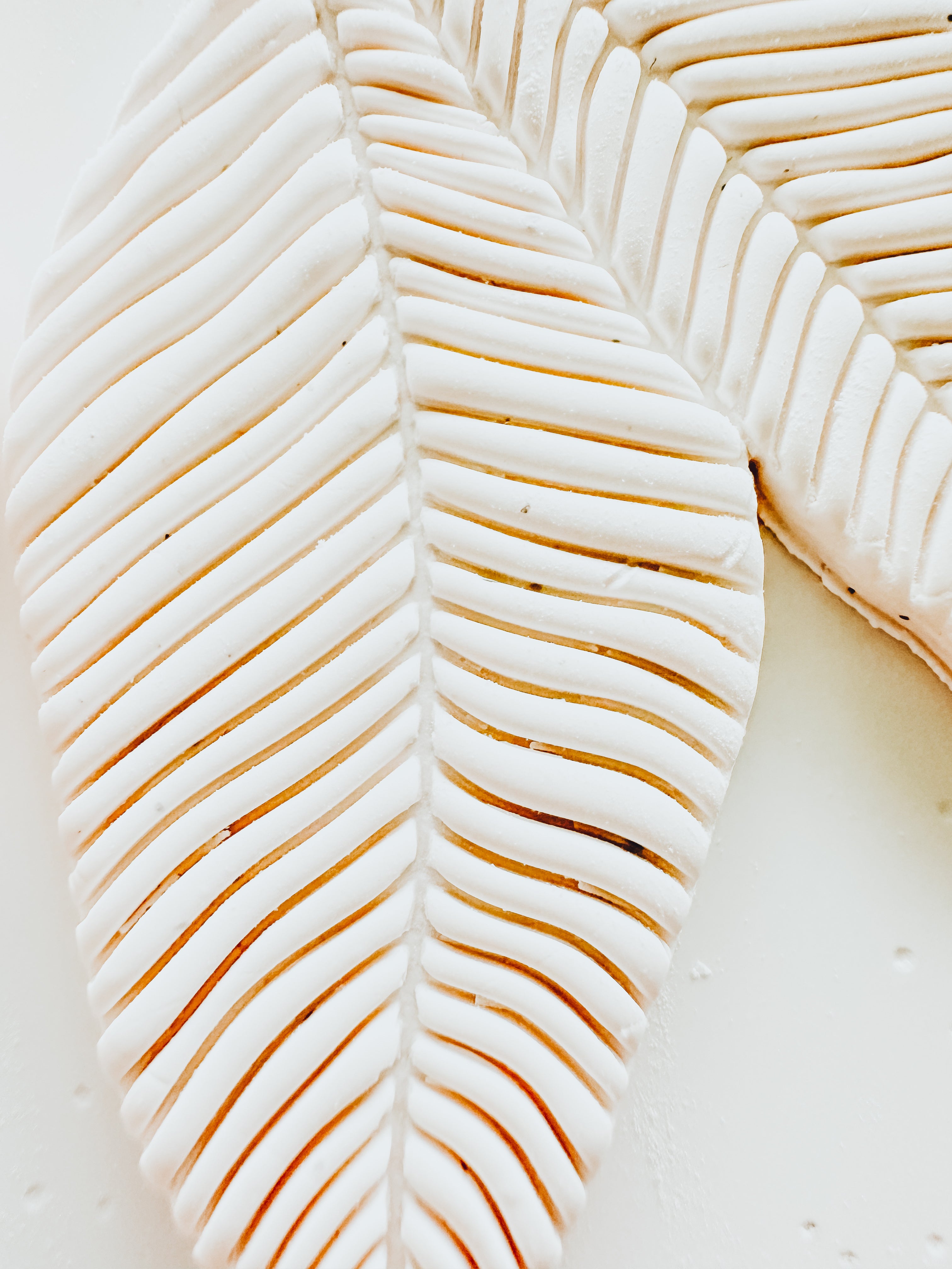 Embossed Tropical Leaf Cluster Clay Cutter