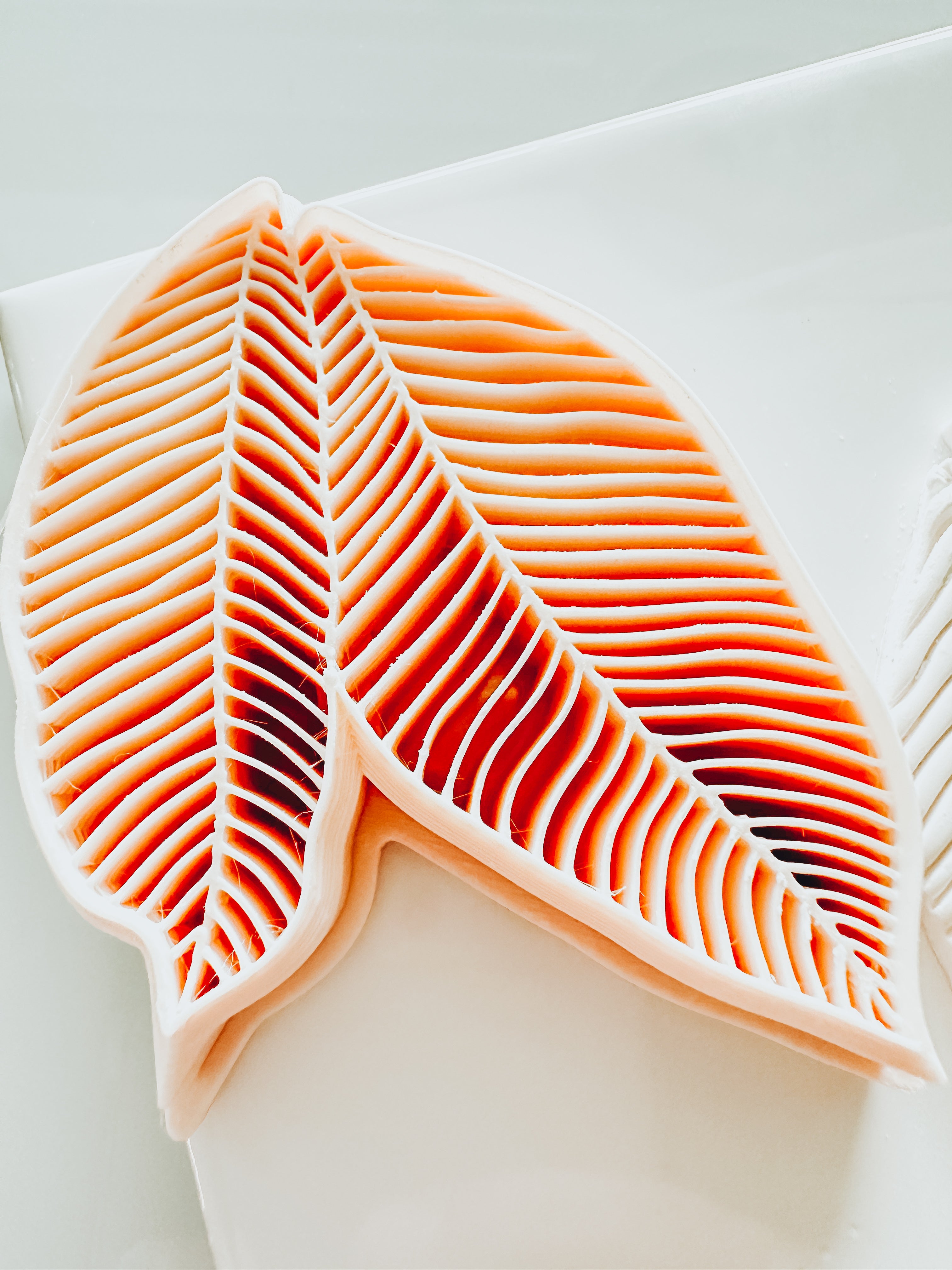 Embossed Tropical Leaf Cluster Clay Cutter