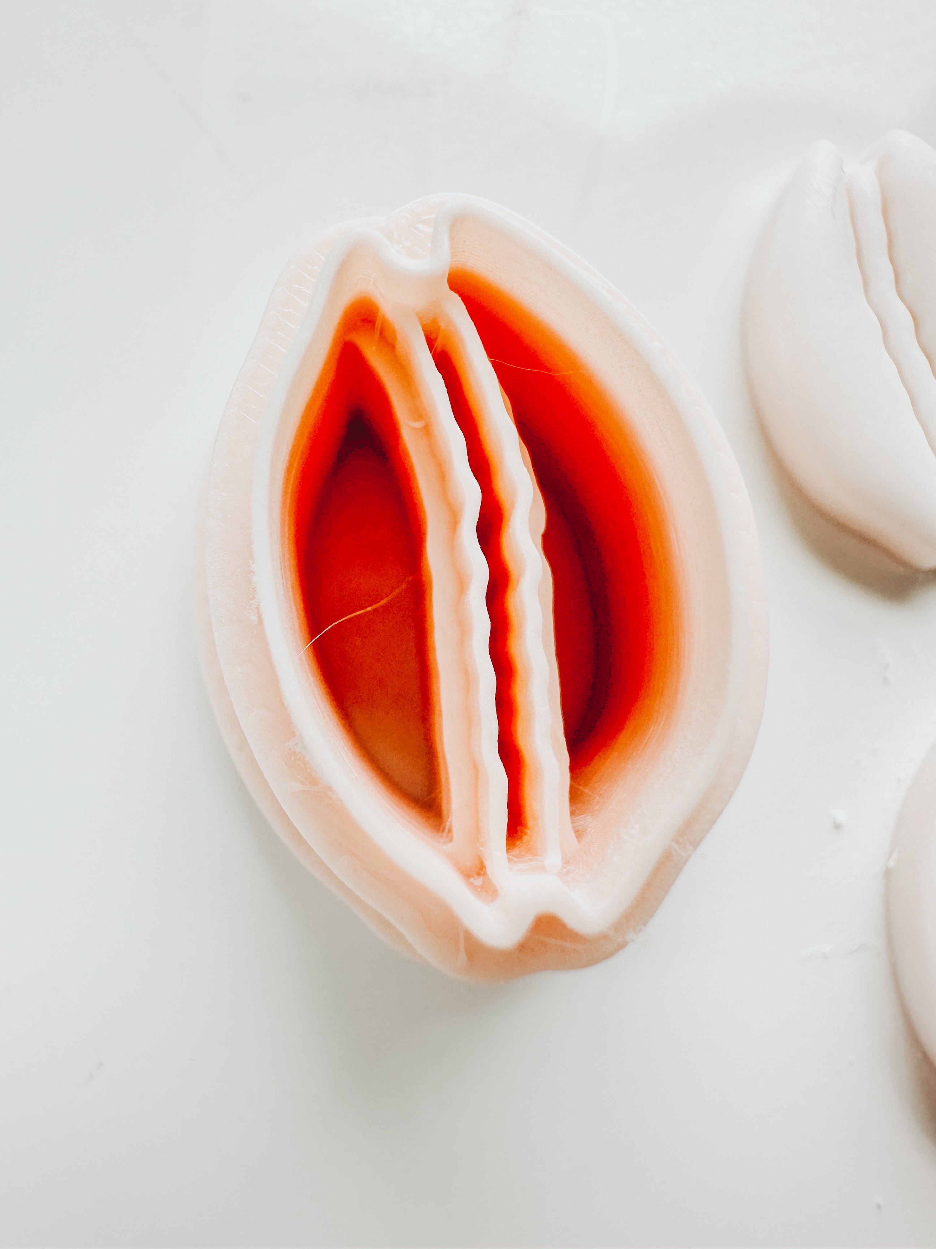 Cowrie Beach Shell Embossed Clay Cutter