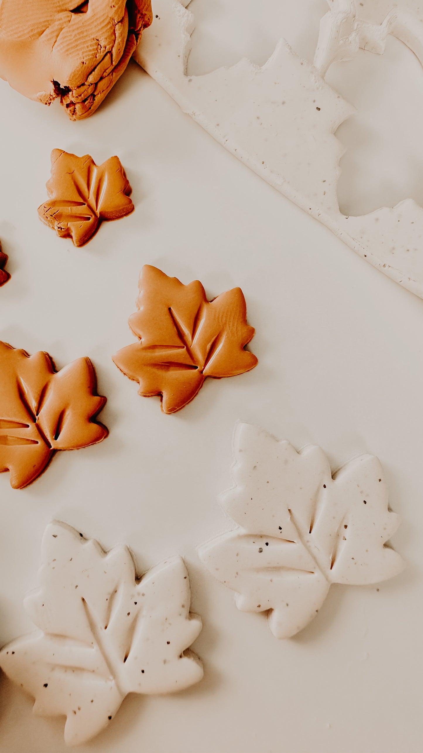Maple Leaf Clay Cutter