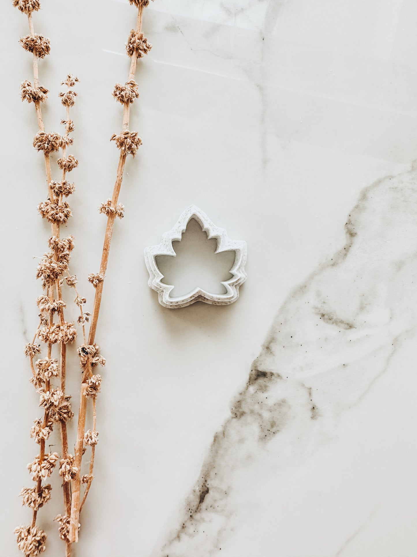 Maple Leaf Clay Cutter