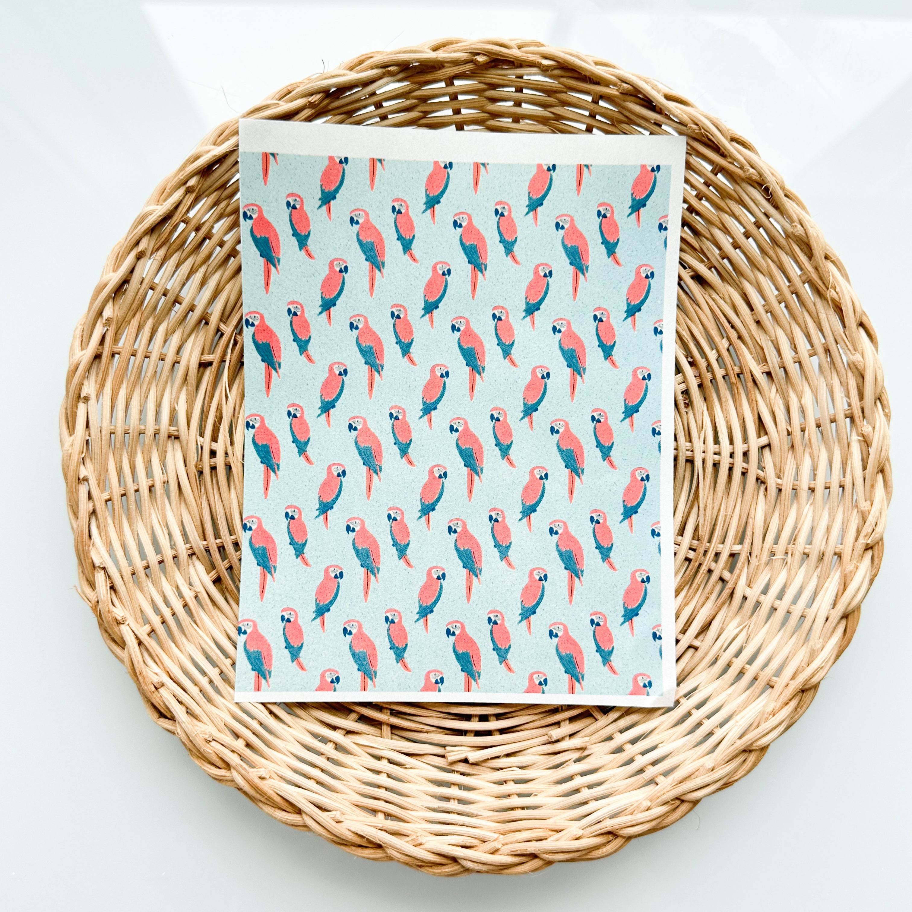 Tropical 4 Transfer Paper