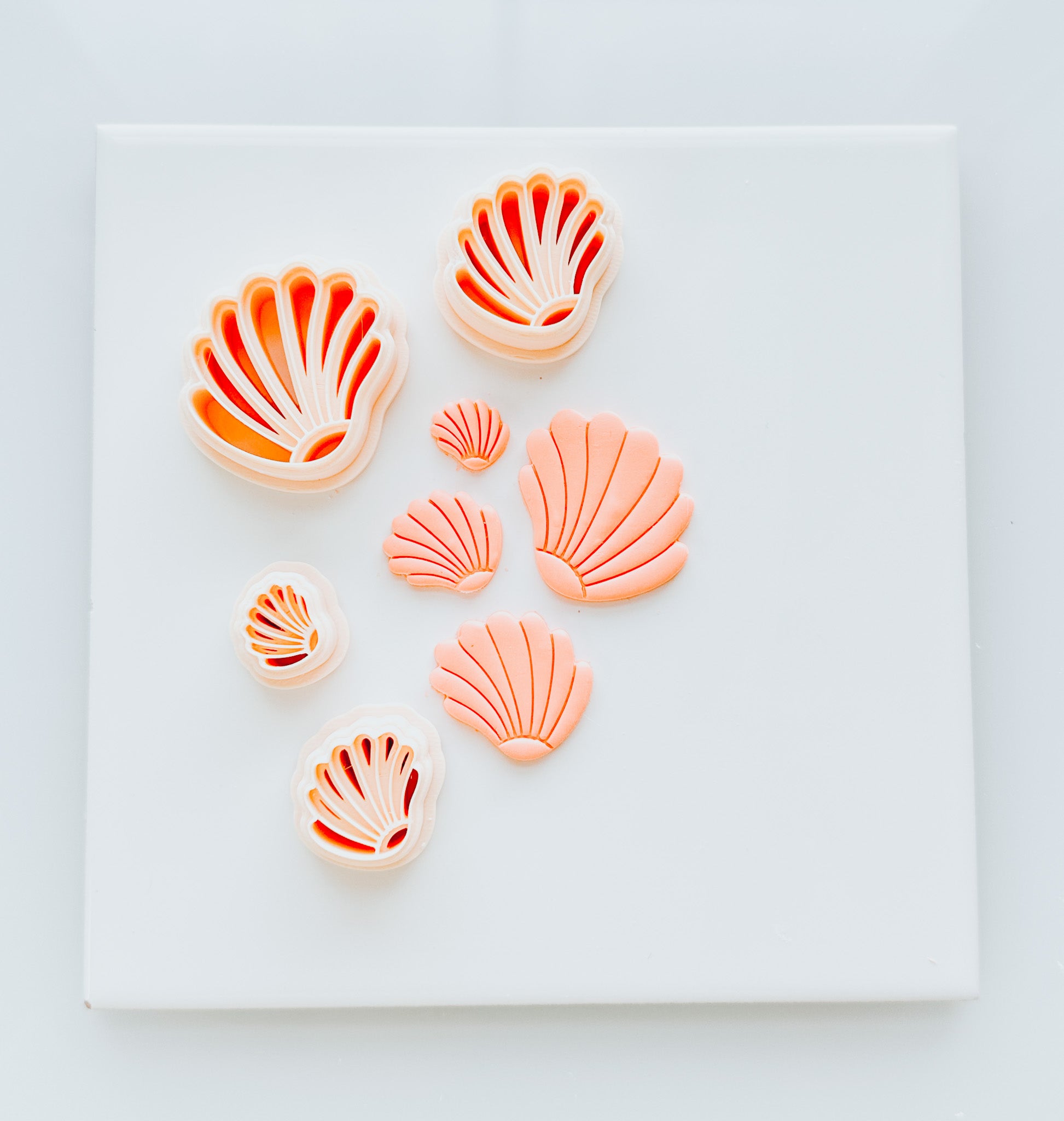 Wave Shell Clay Cutter