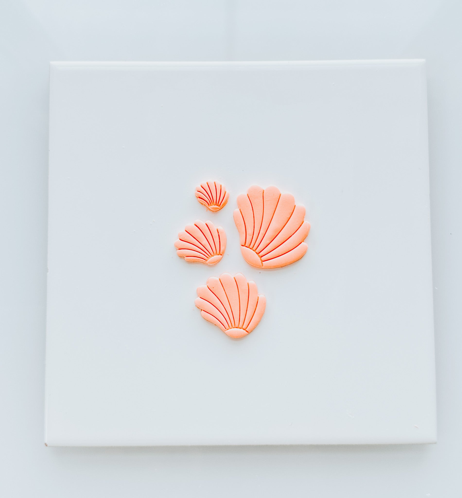Wave Shell Clay Cutter