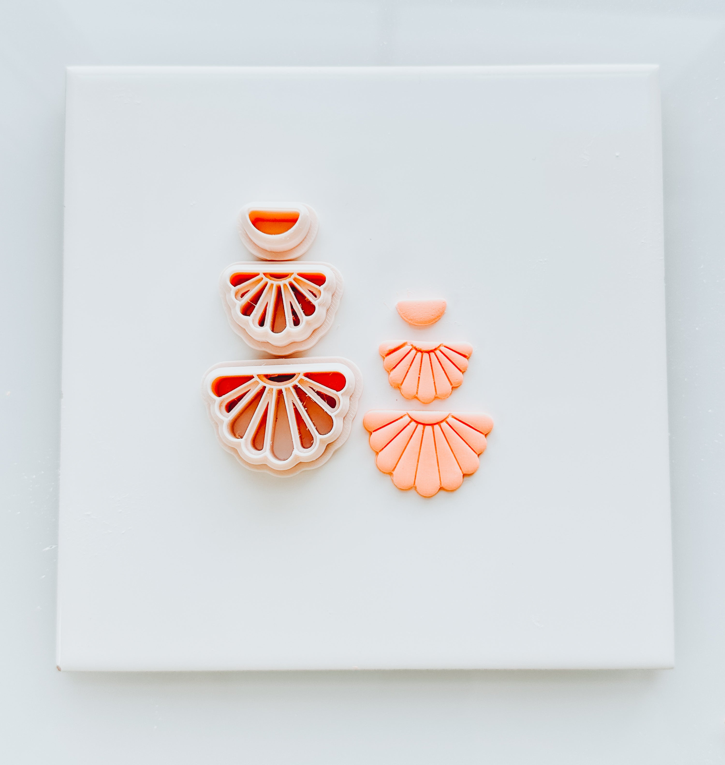 Razy Scallop Clay Cutter