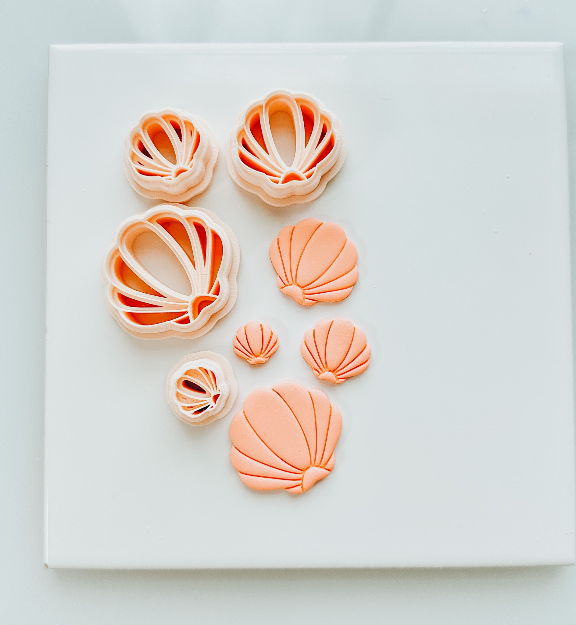 Bubble Shell Clay Cutter