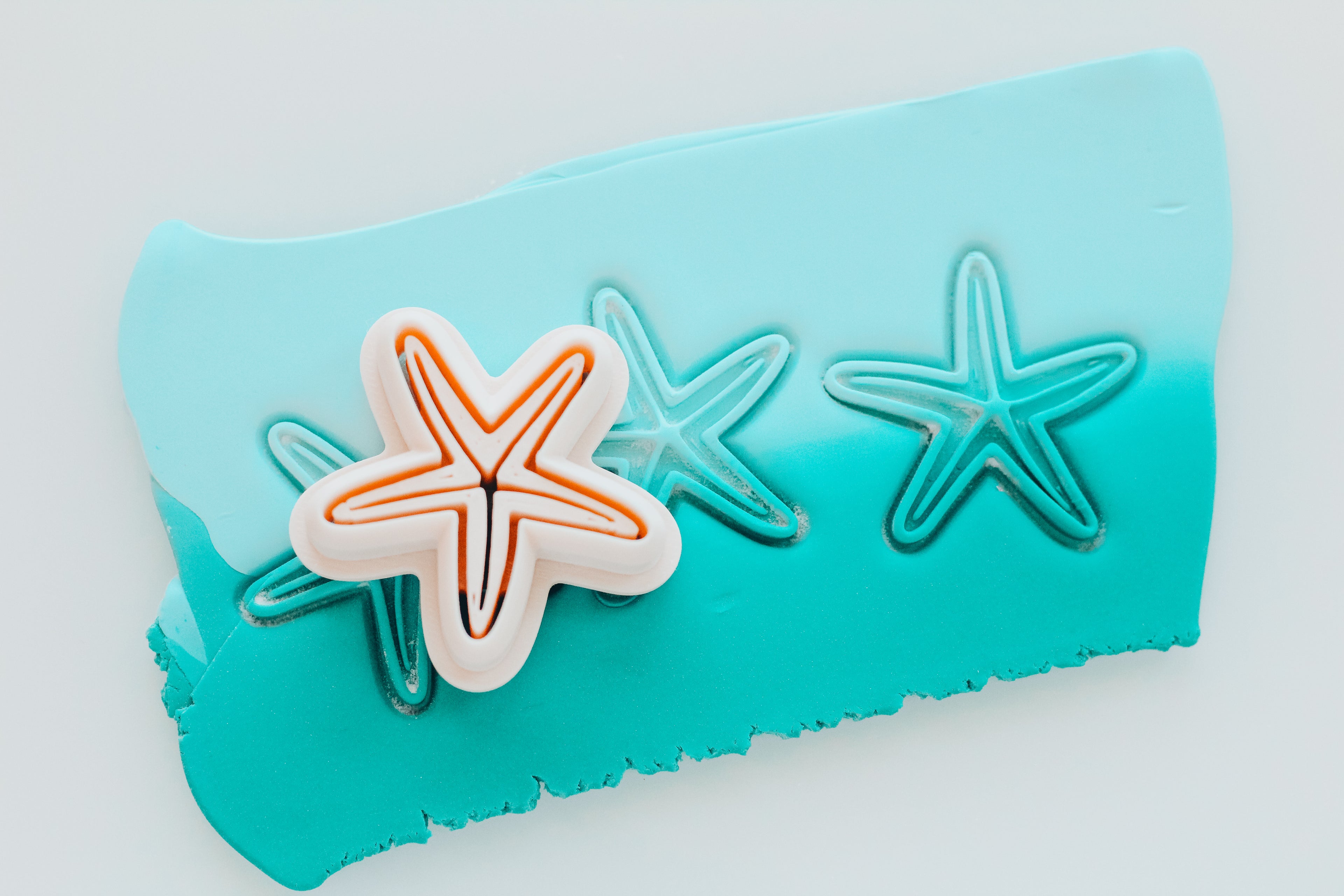 Full Press Star Fish Forever Shells Clay Cutter
