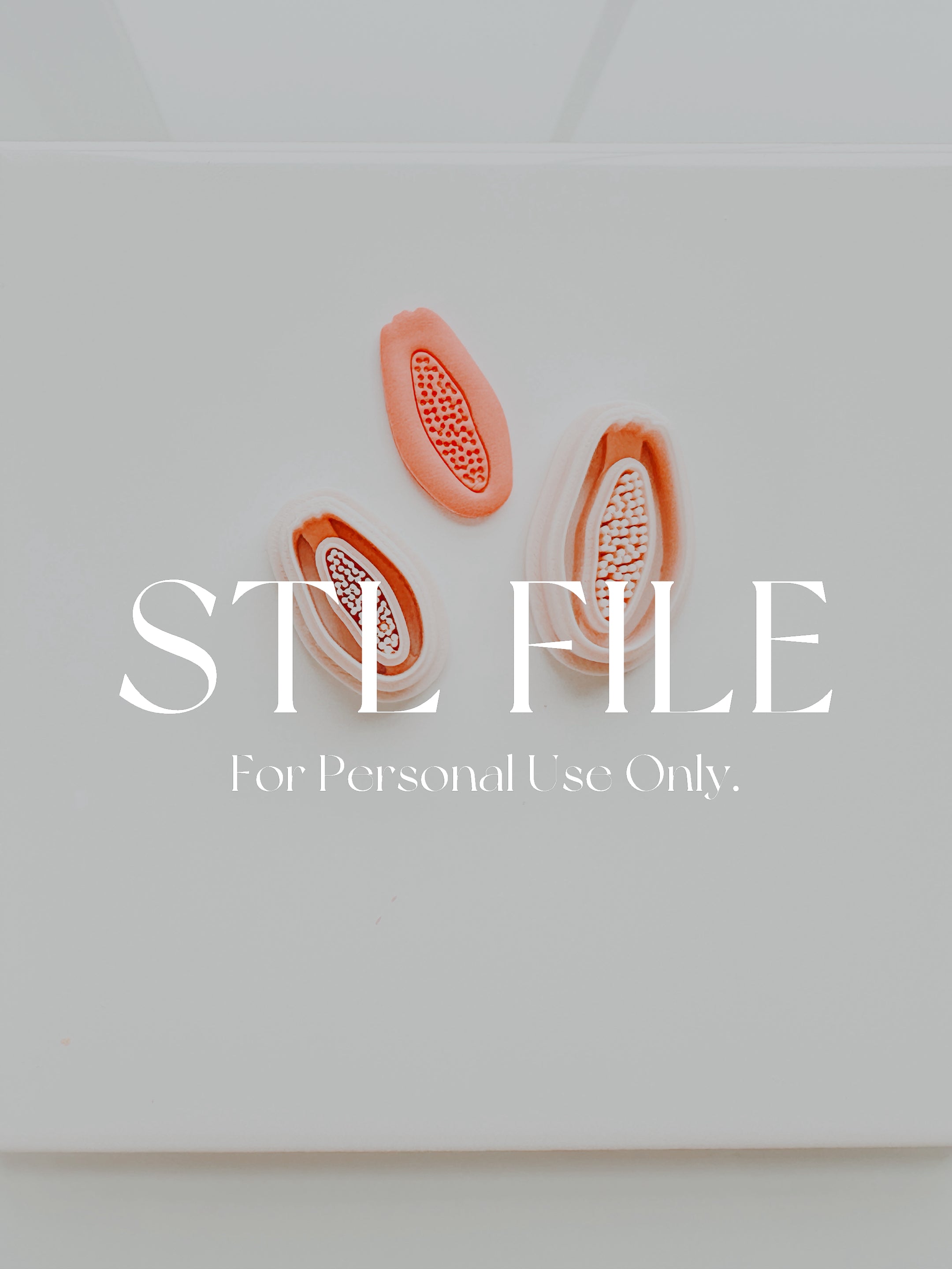 STL File For 3d Printing