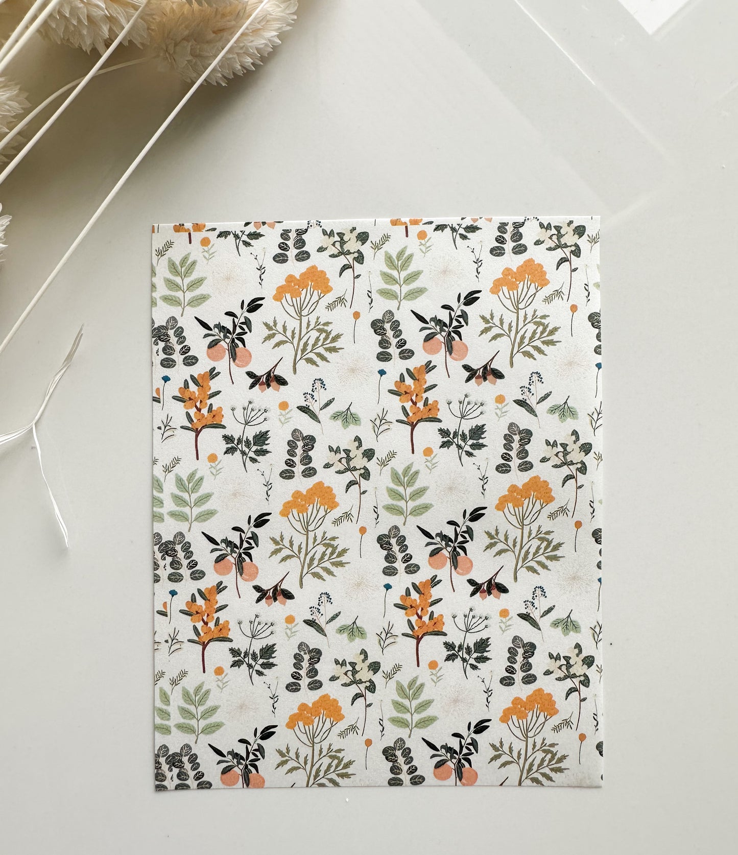 Transfer Paper 121 (Soft Foliage)