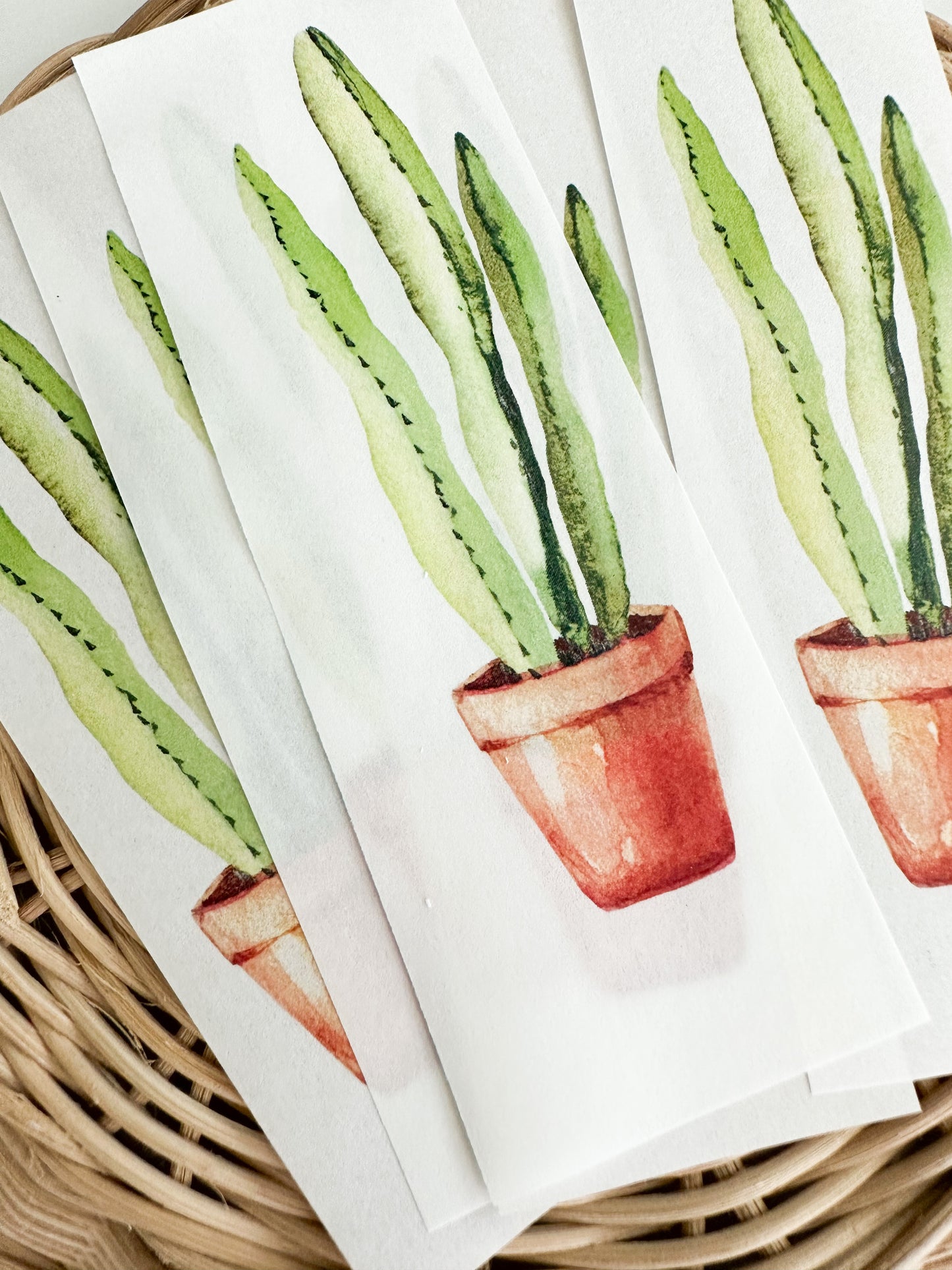 Transfer Paper 69 (Snake Plant for Large Bookmark)