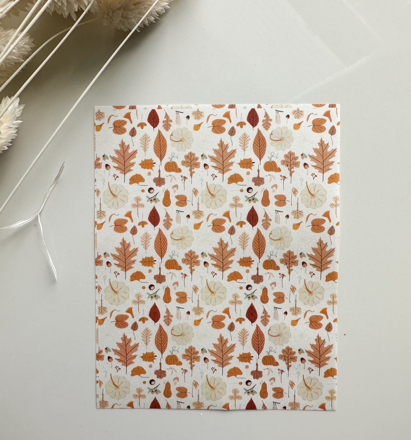 Transfer Paper 01 (Golden Fall)