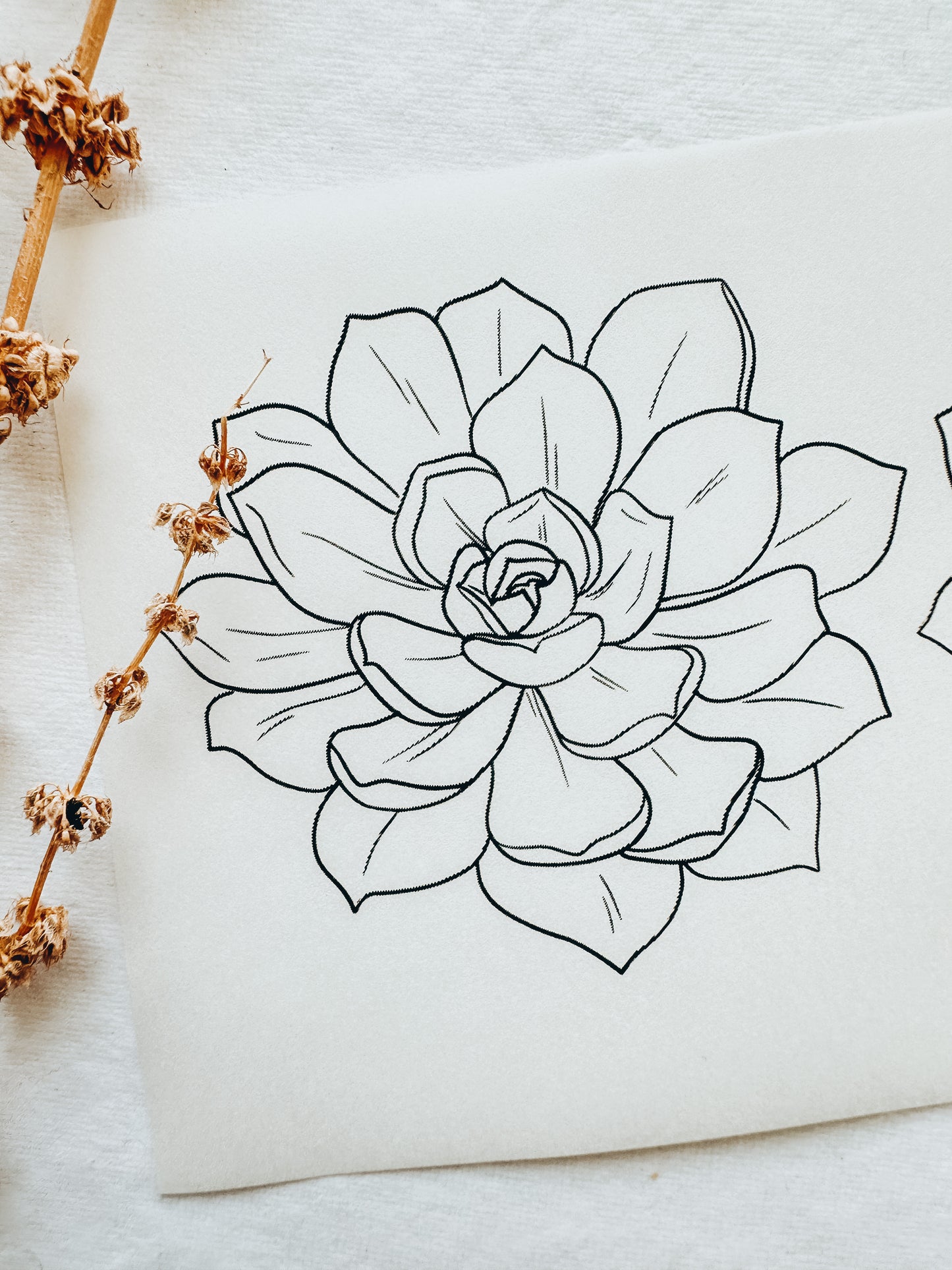 Transfer Paper 130 (Succulent 3 for Trinket Dish)