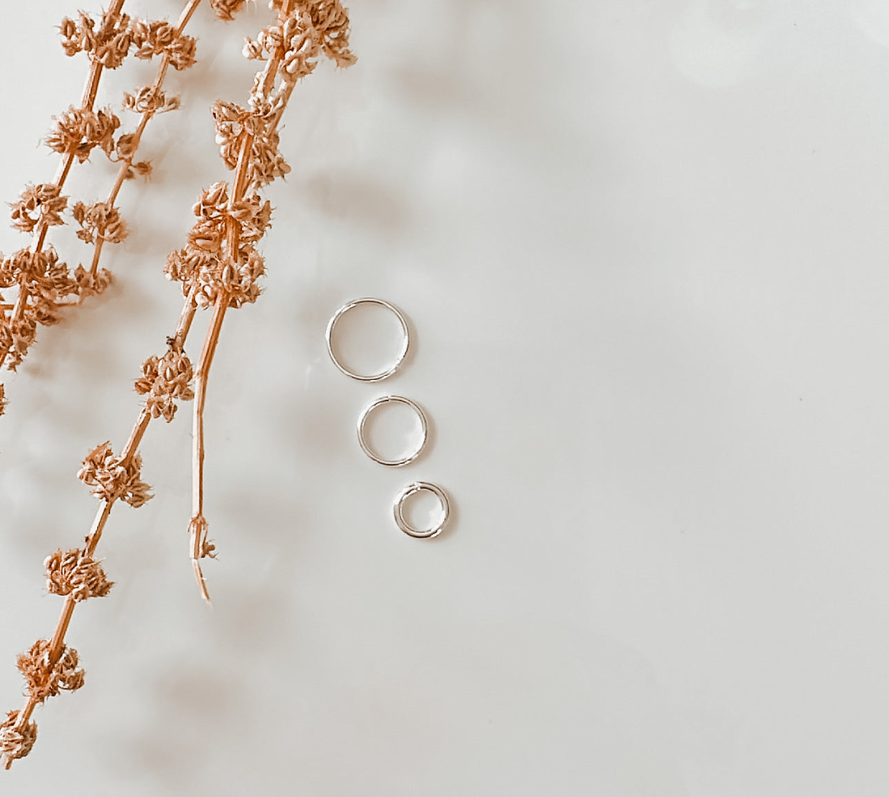 Silver Plated Open Jump Rings (10 Count)