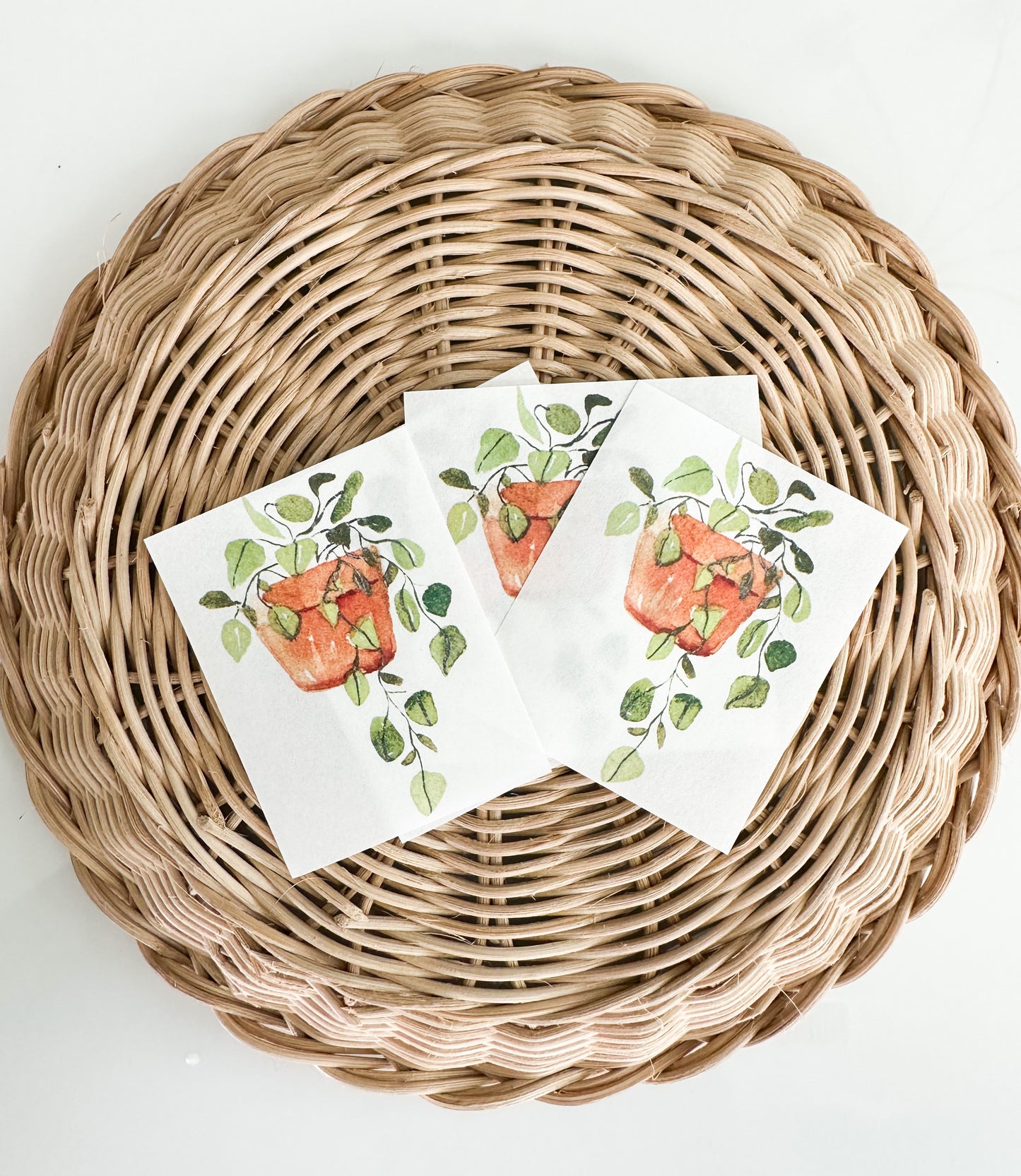 Transfer Paper 29 (Hanging Plant For Bookmark or Trinket Dish)
