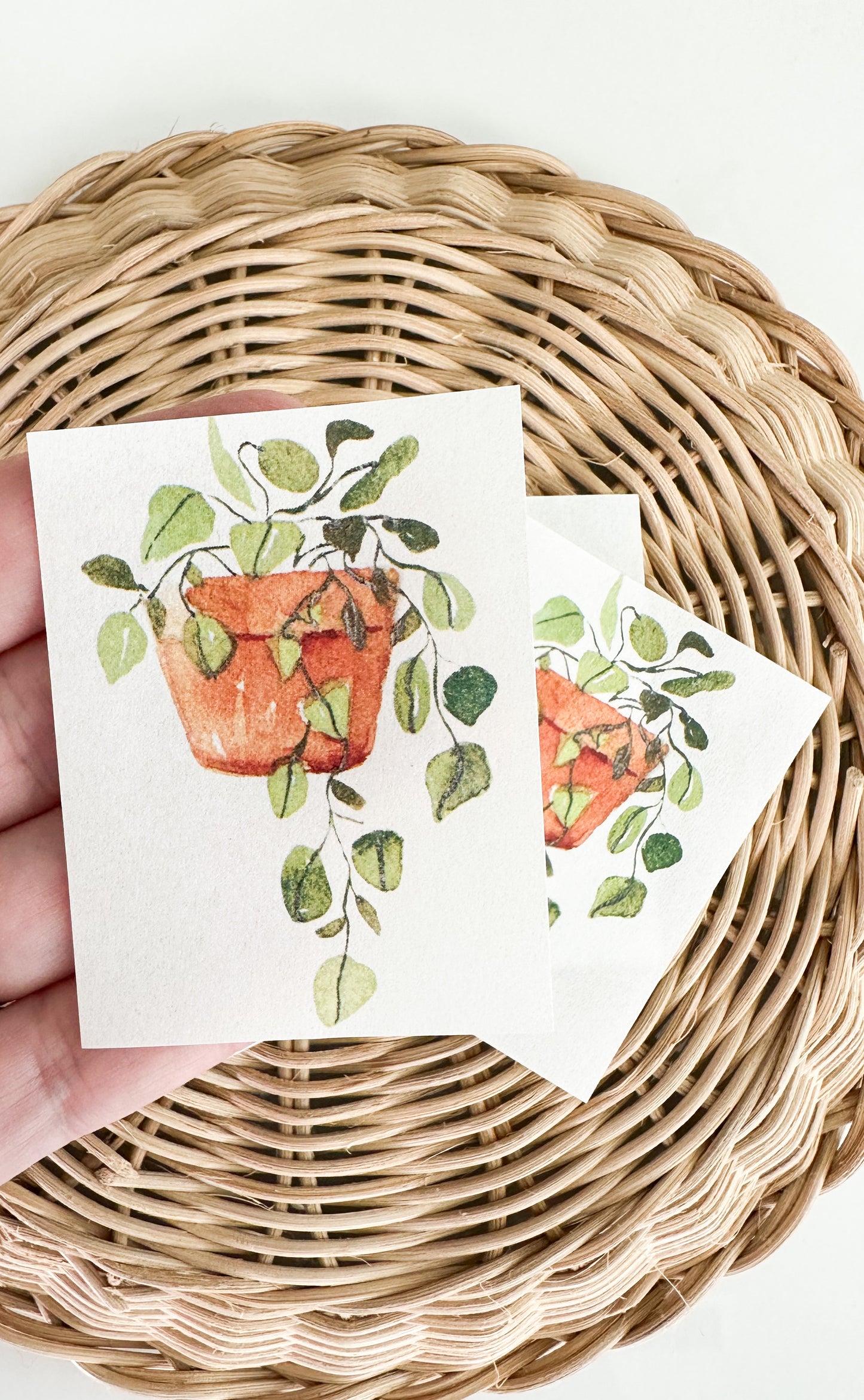 Transfer Paper 29 (Hanging Plant For Bookmark or Trinket Dish)