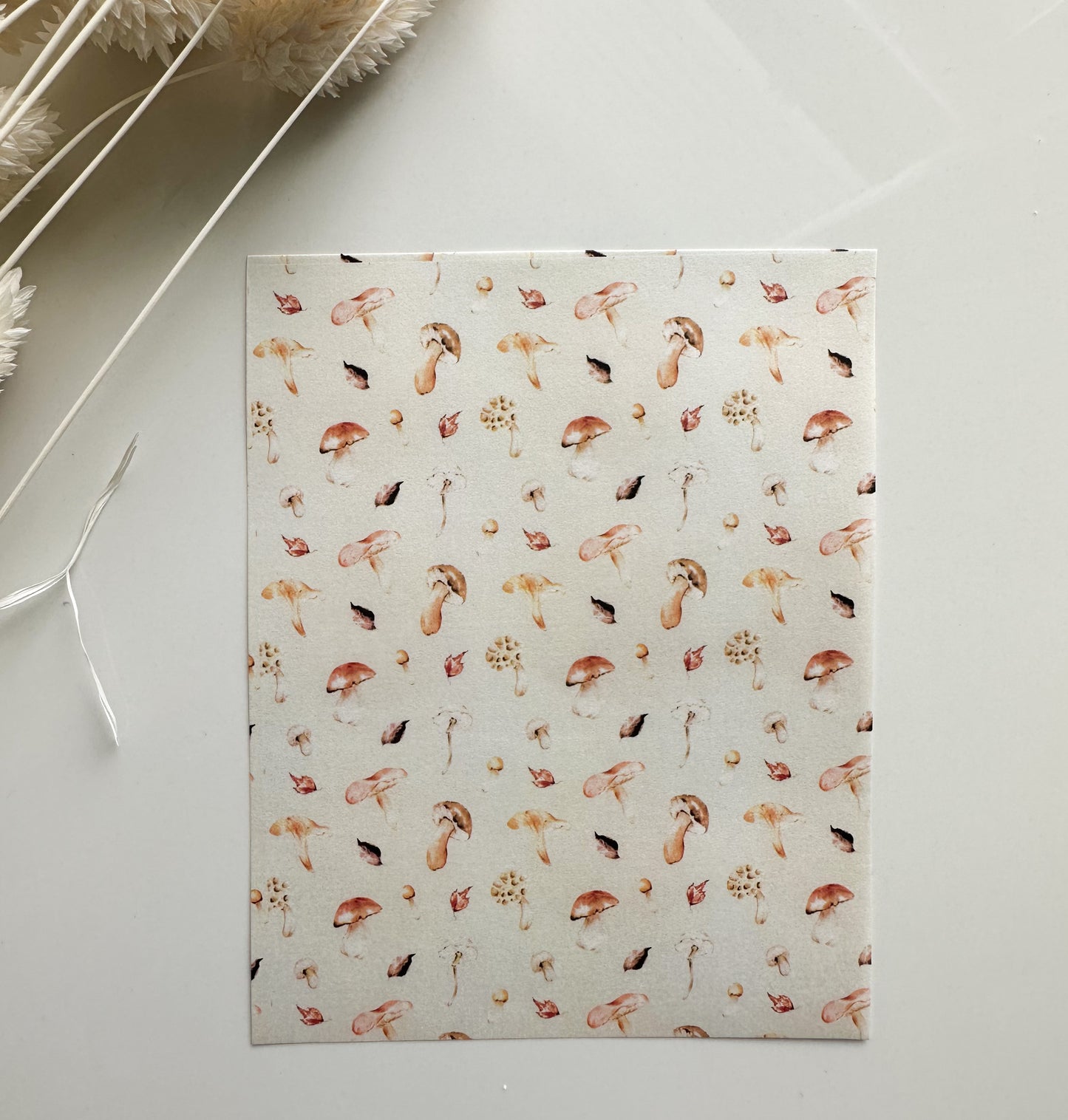 Transfer Paper 59 (Gentle Fall Mushrooms)