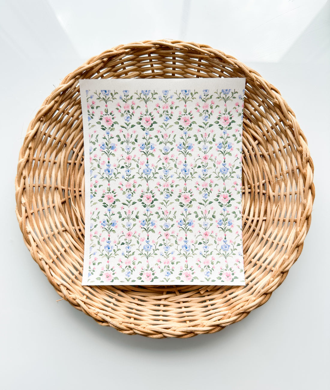 Charleston 4 Climbing Florals Transfer Paper
