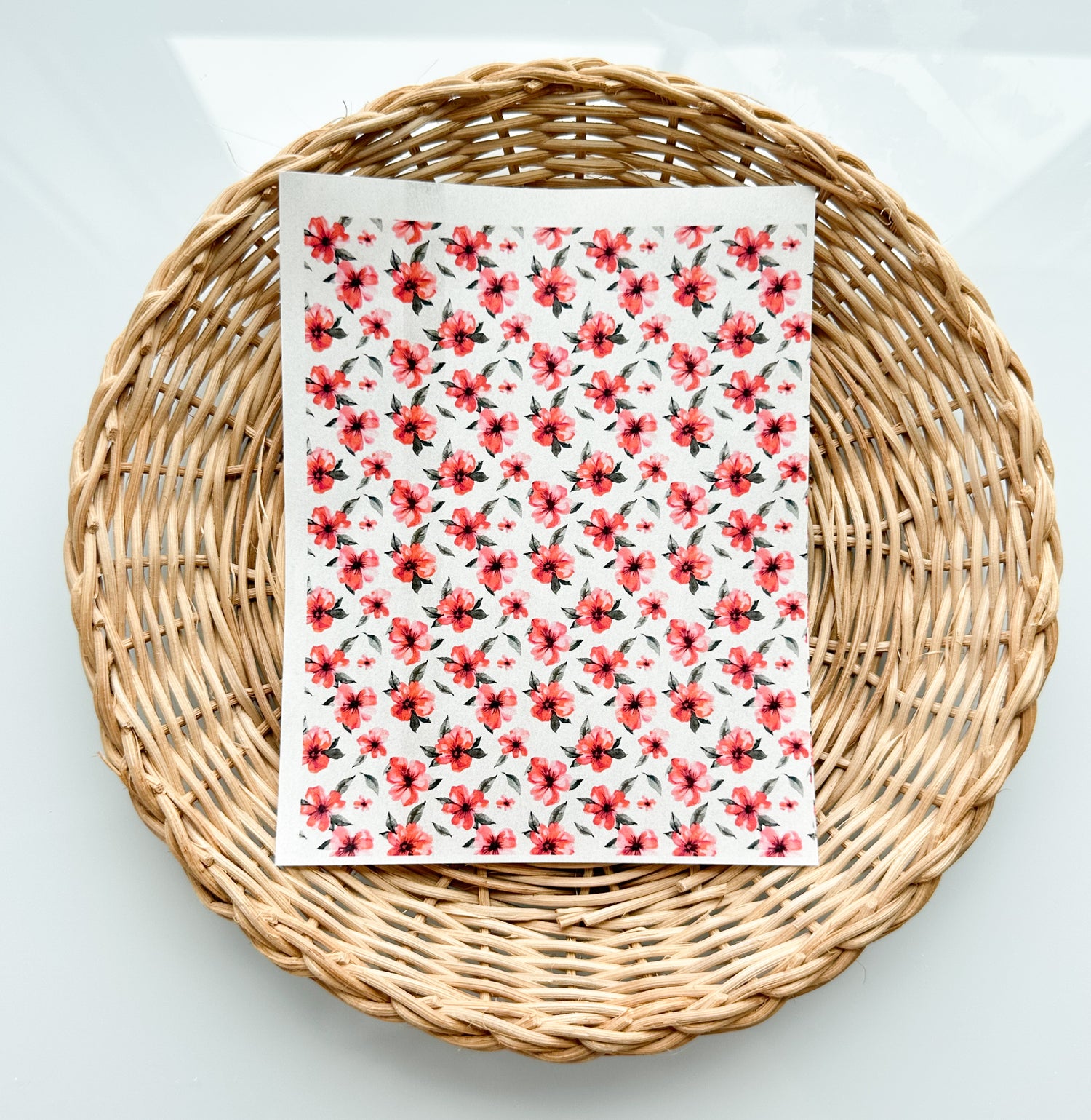 Tropical 3 Transfer Paper