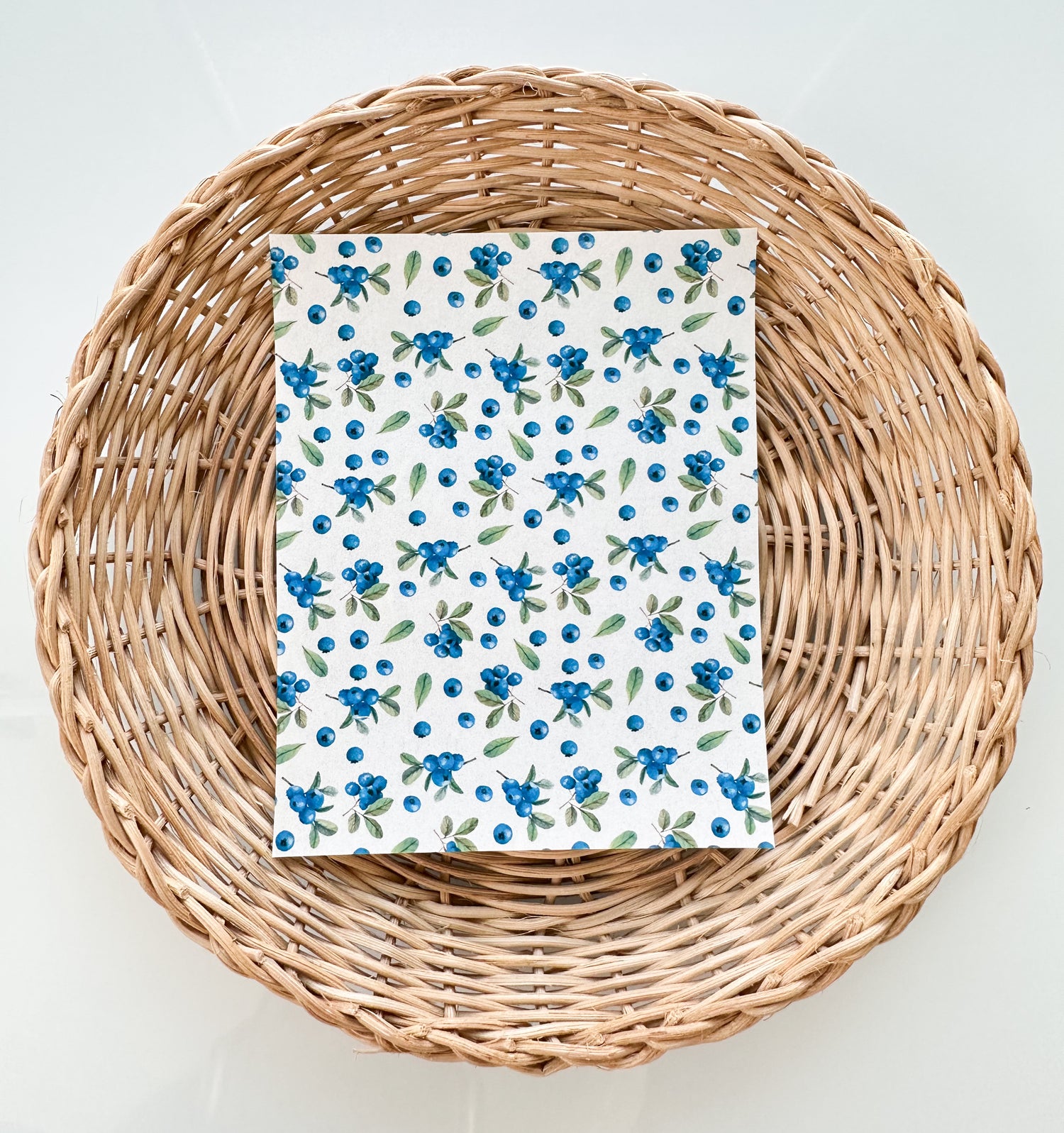 Summer 26 Summer Blueberries Transfer Paper