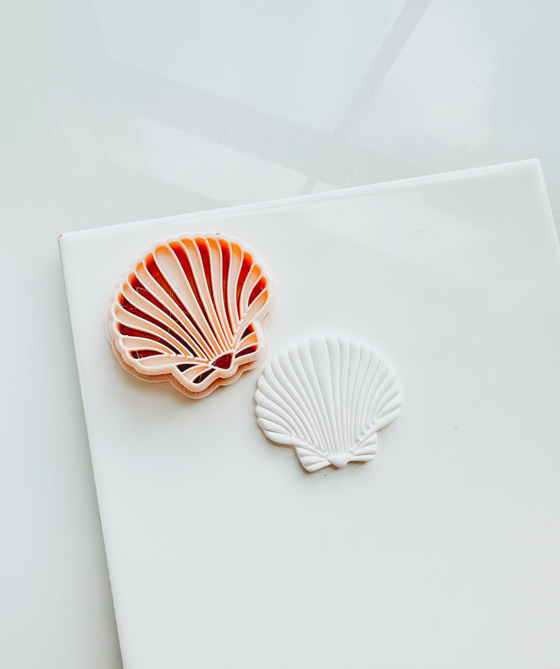 Embossed Calico Sacllop Beach Shell Embossed Clay Cutter