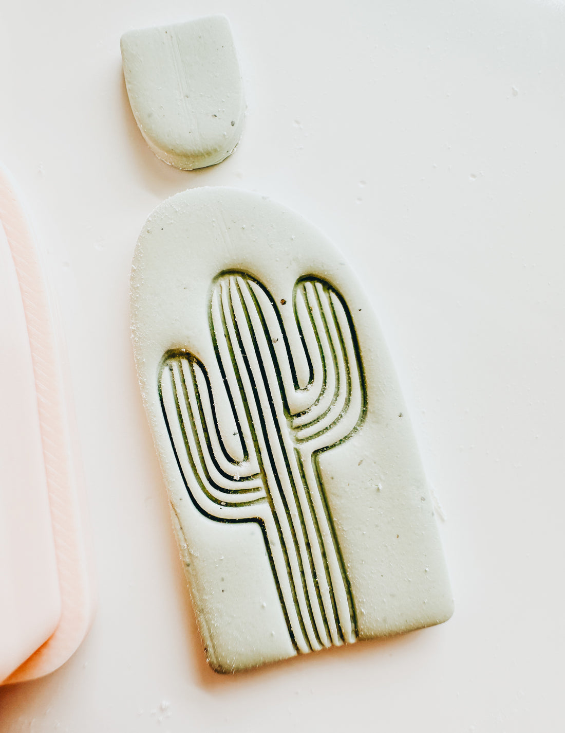 Dessert Cactus Set Clay Cutter