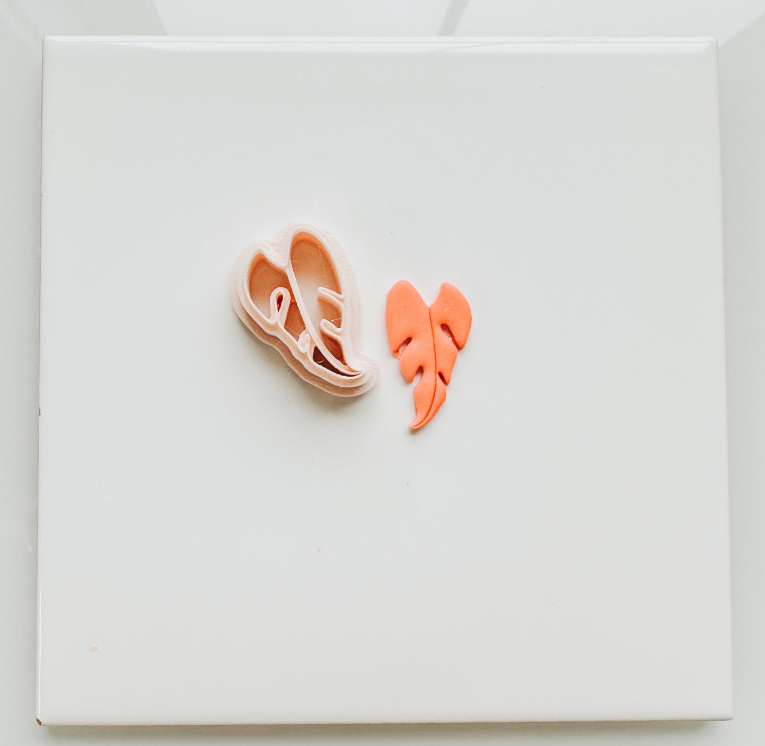 Philodendron Clay Cutter
