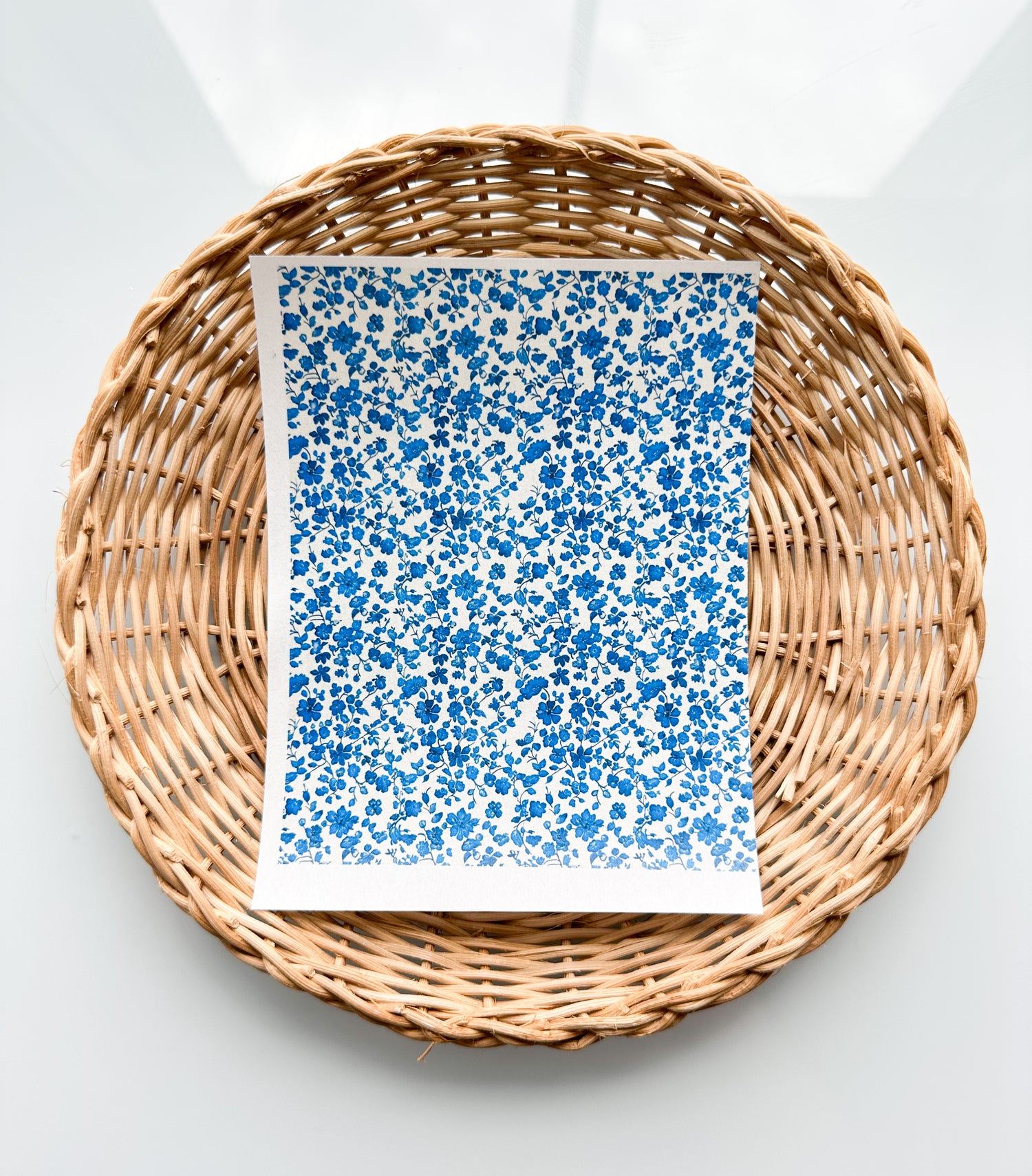 Charleston 14 Ocean Blue Floral Transfer Paper