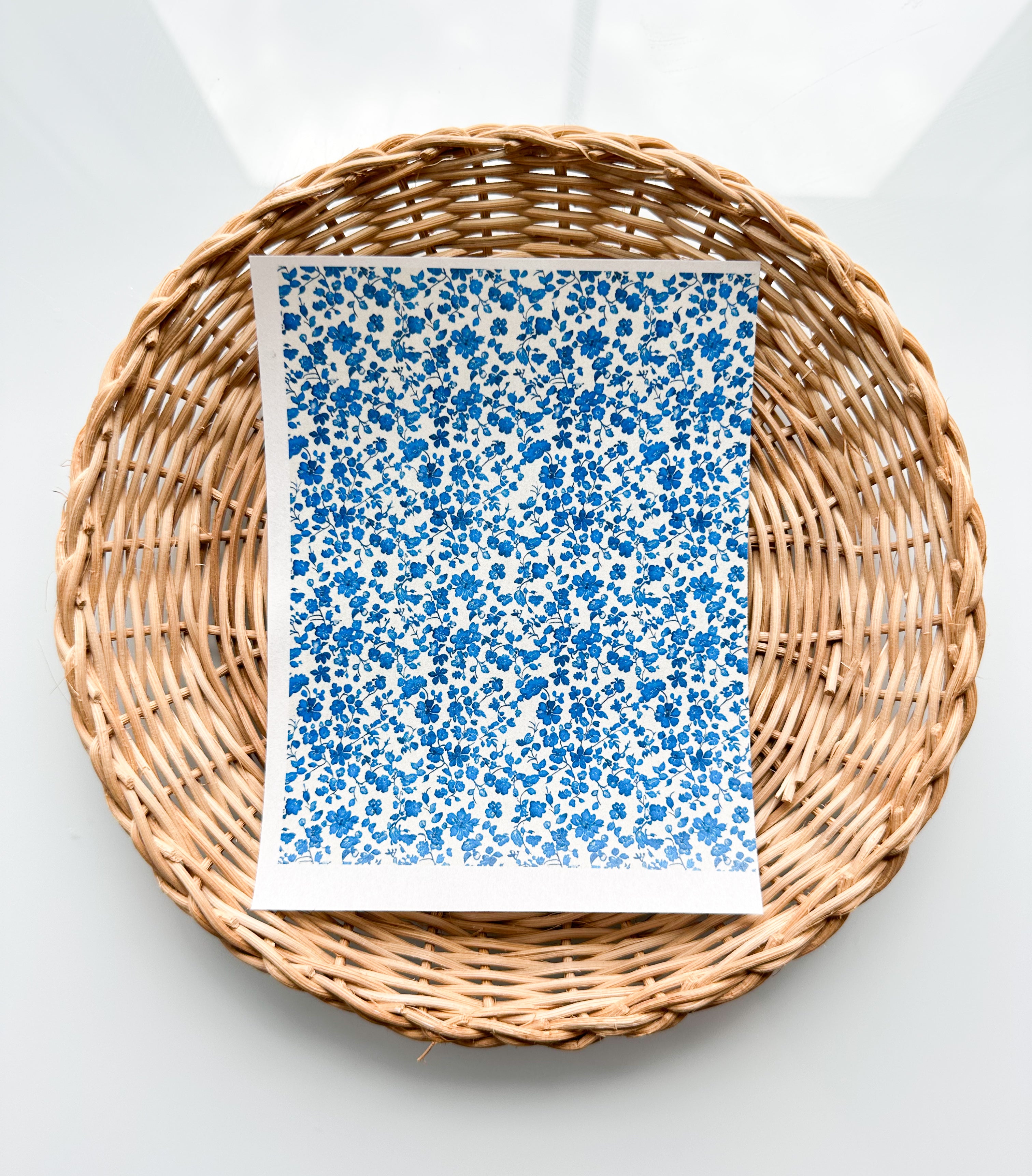 Charleston 14 Ocean Blue Floral Transfer Paper