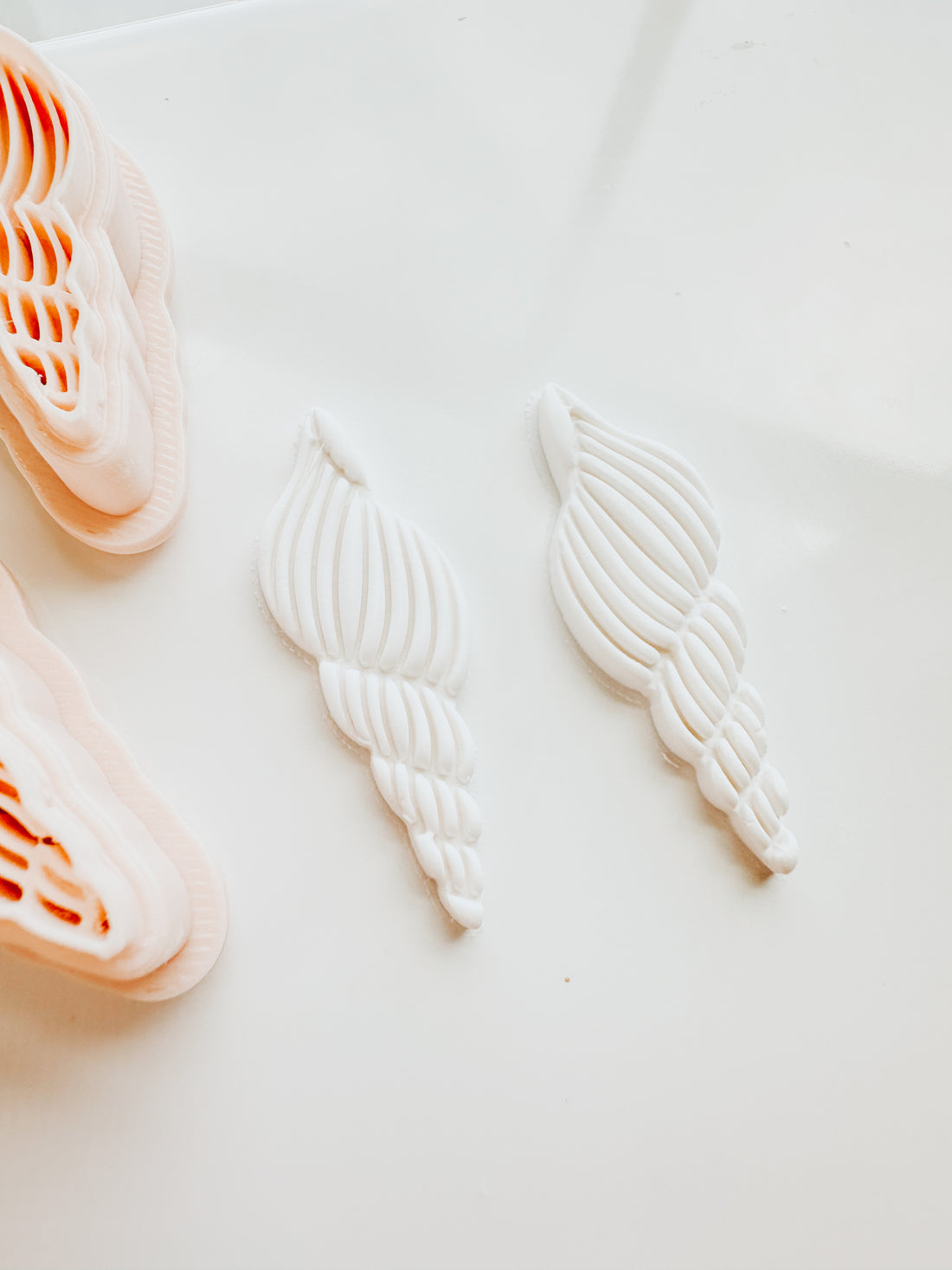 Embossed Turret Beach Shell Embossed Clay Cutter