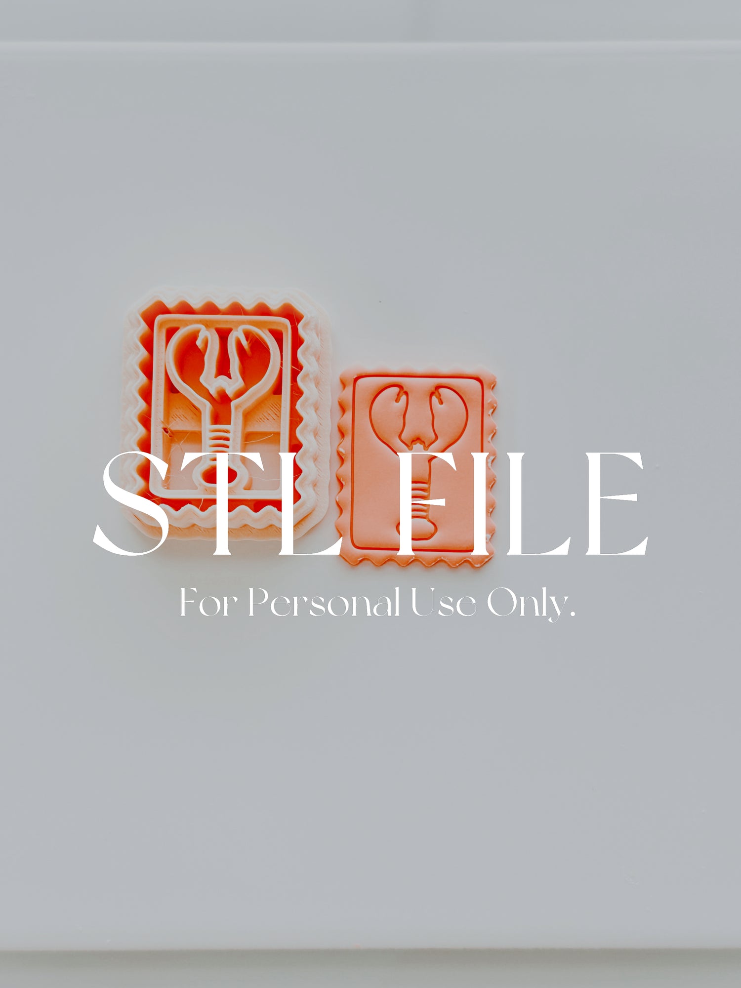 STL File For 3d Printing